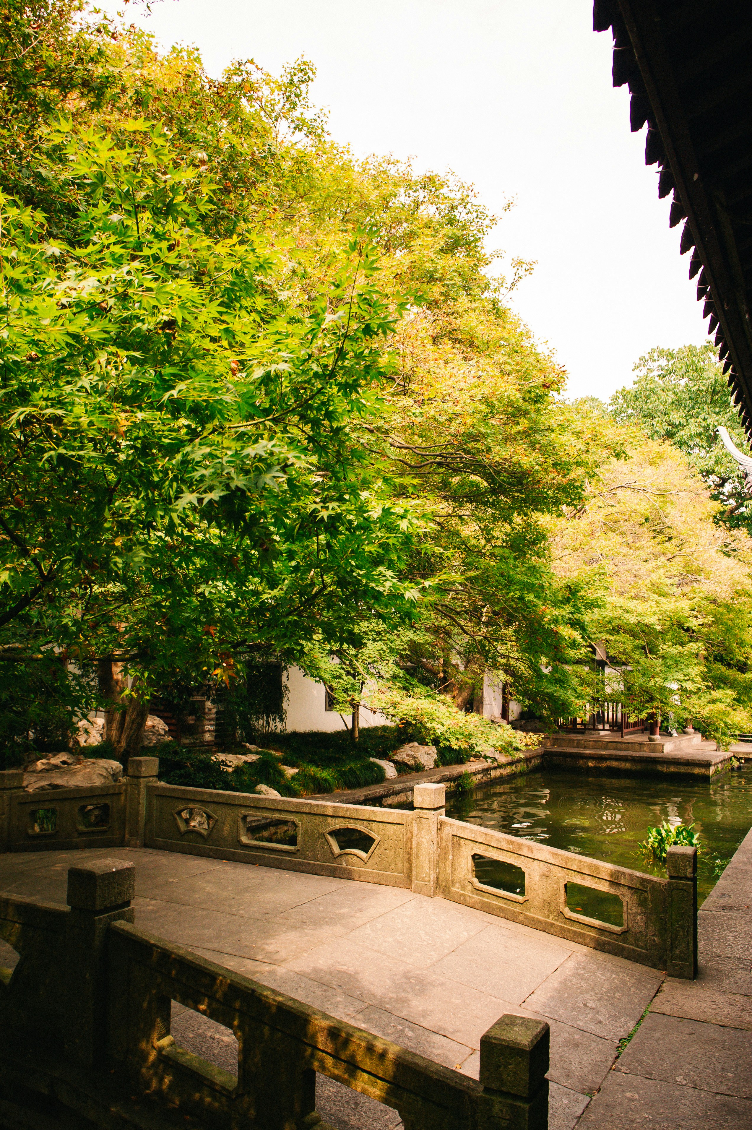 A stone bridge over a pond in a garden with lush green trees