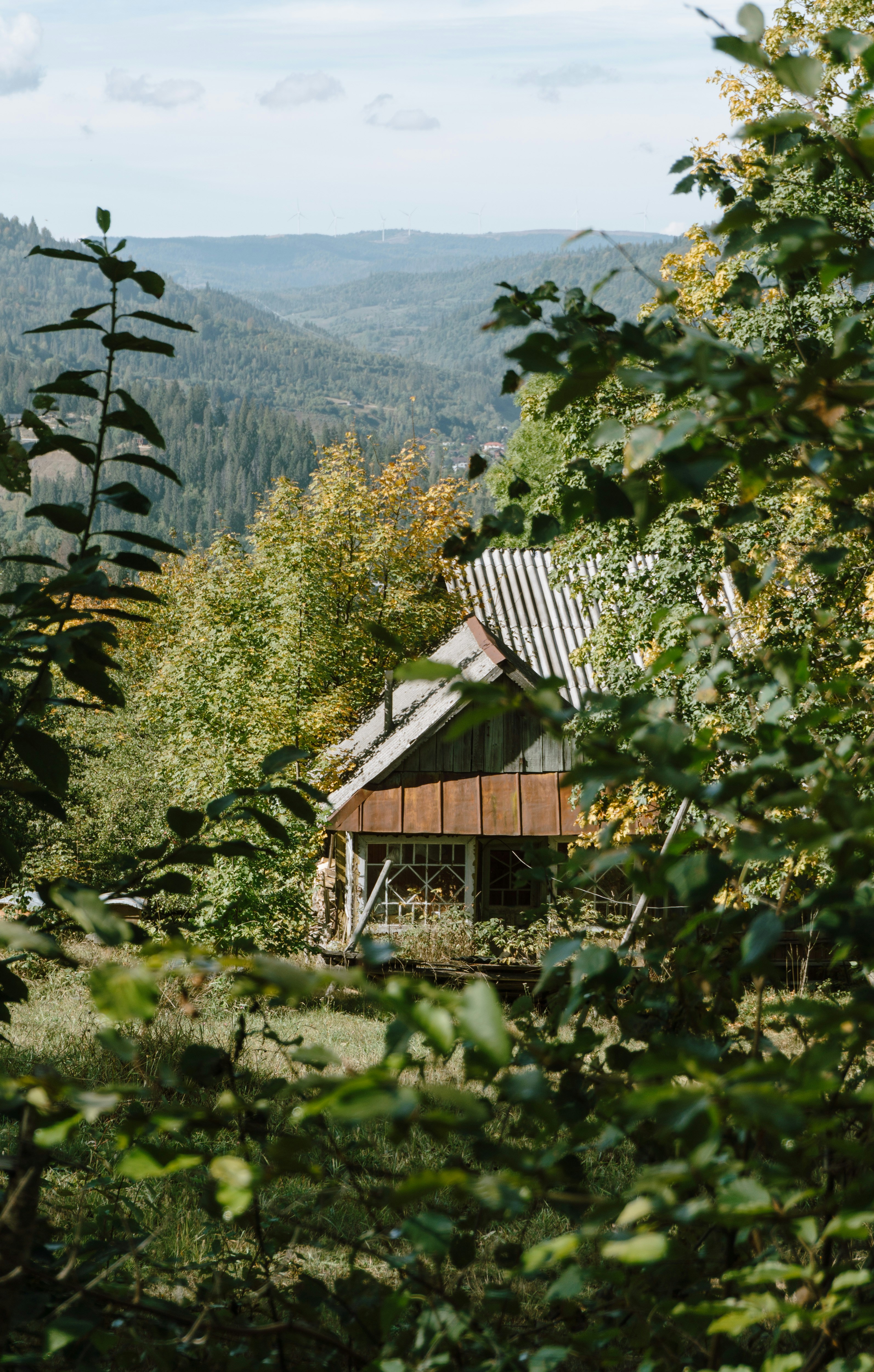 A rustic wooden cabin nestled among trees with a mountain valley in the distance
