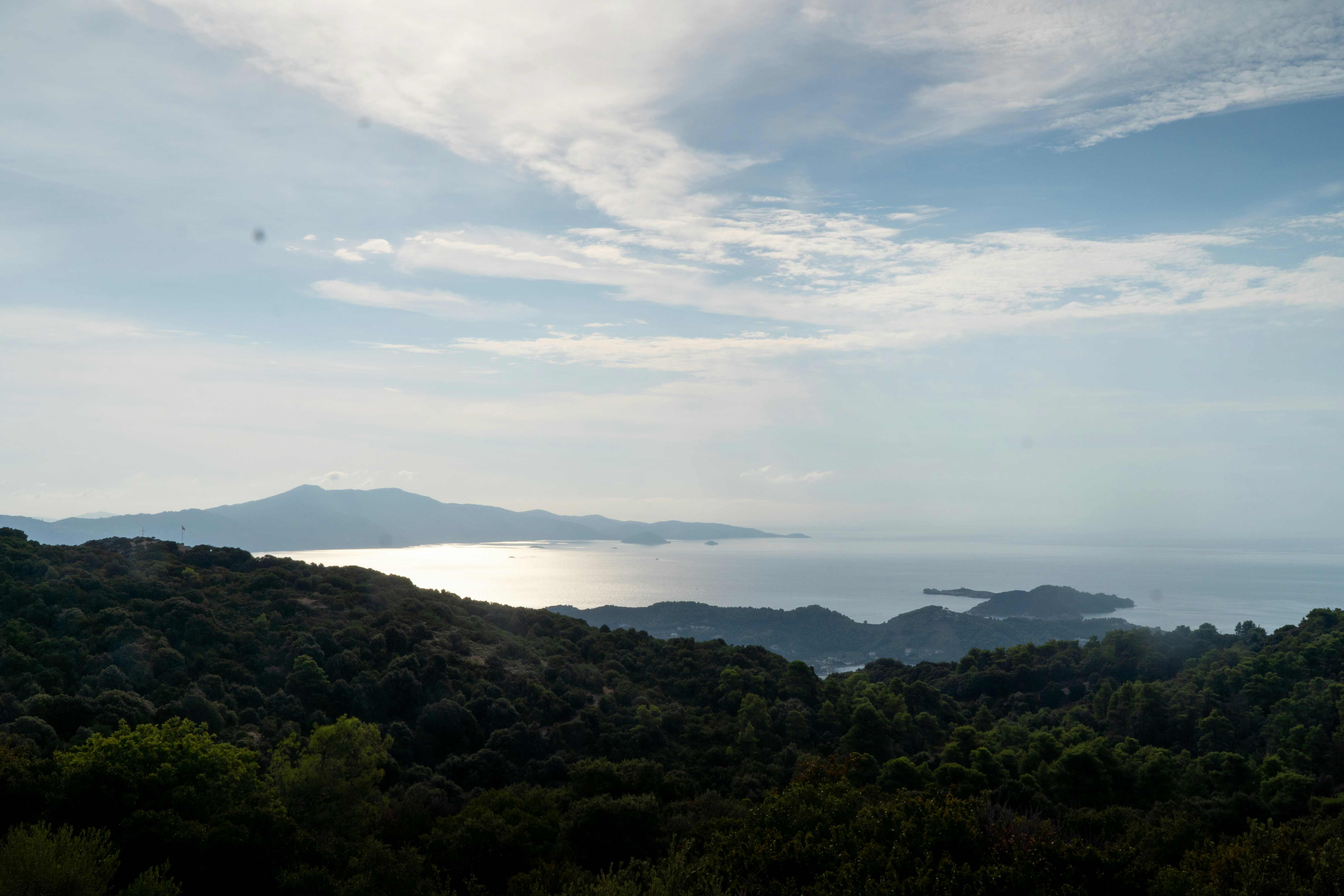 A view of a sunlit sea and distant mountains from a forested hillside