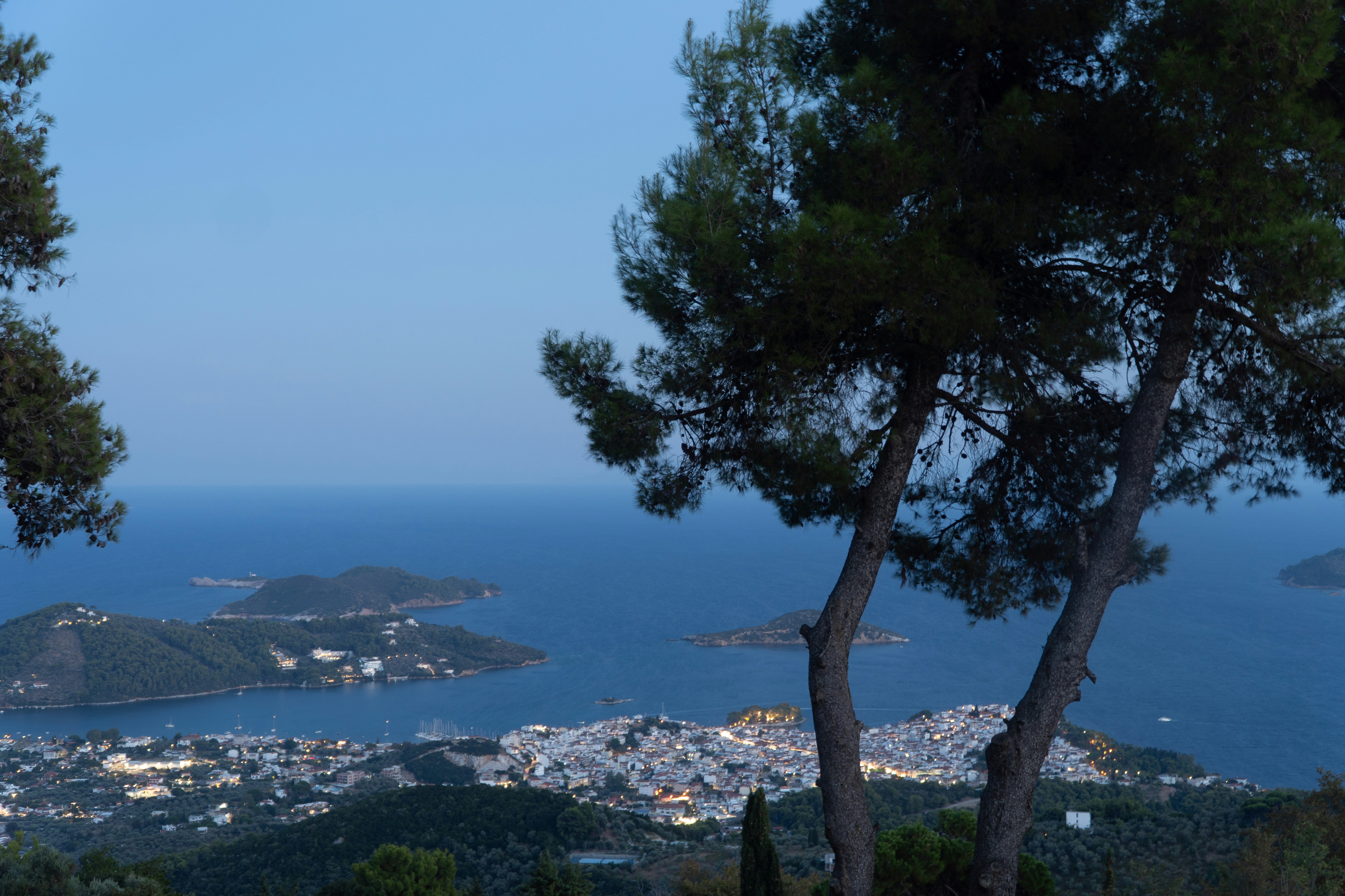 Pine trees framing a coastal town and islands in the sea at twilight