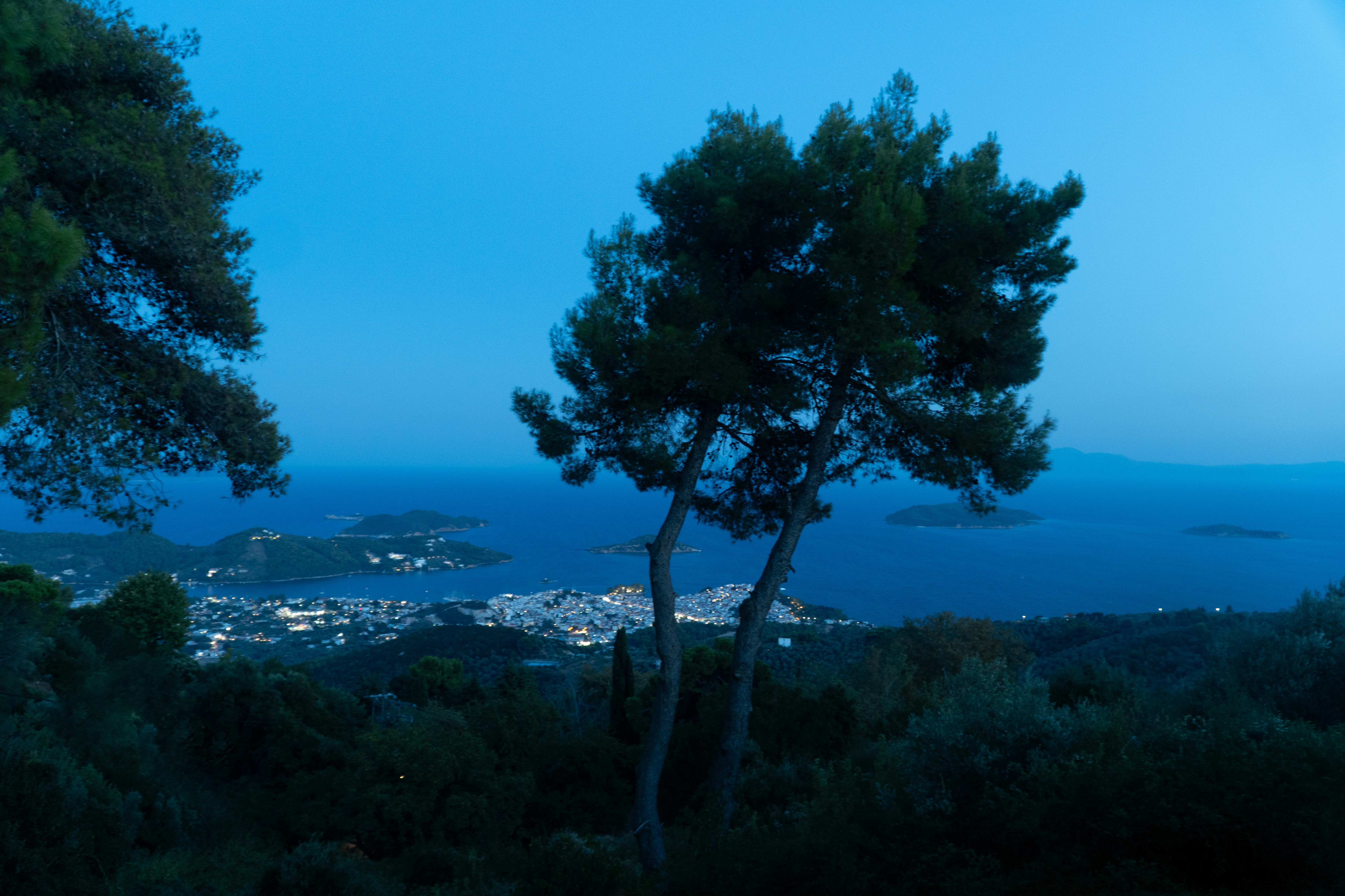 Pine trees overlooking a coastal town and islands at blue hour