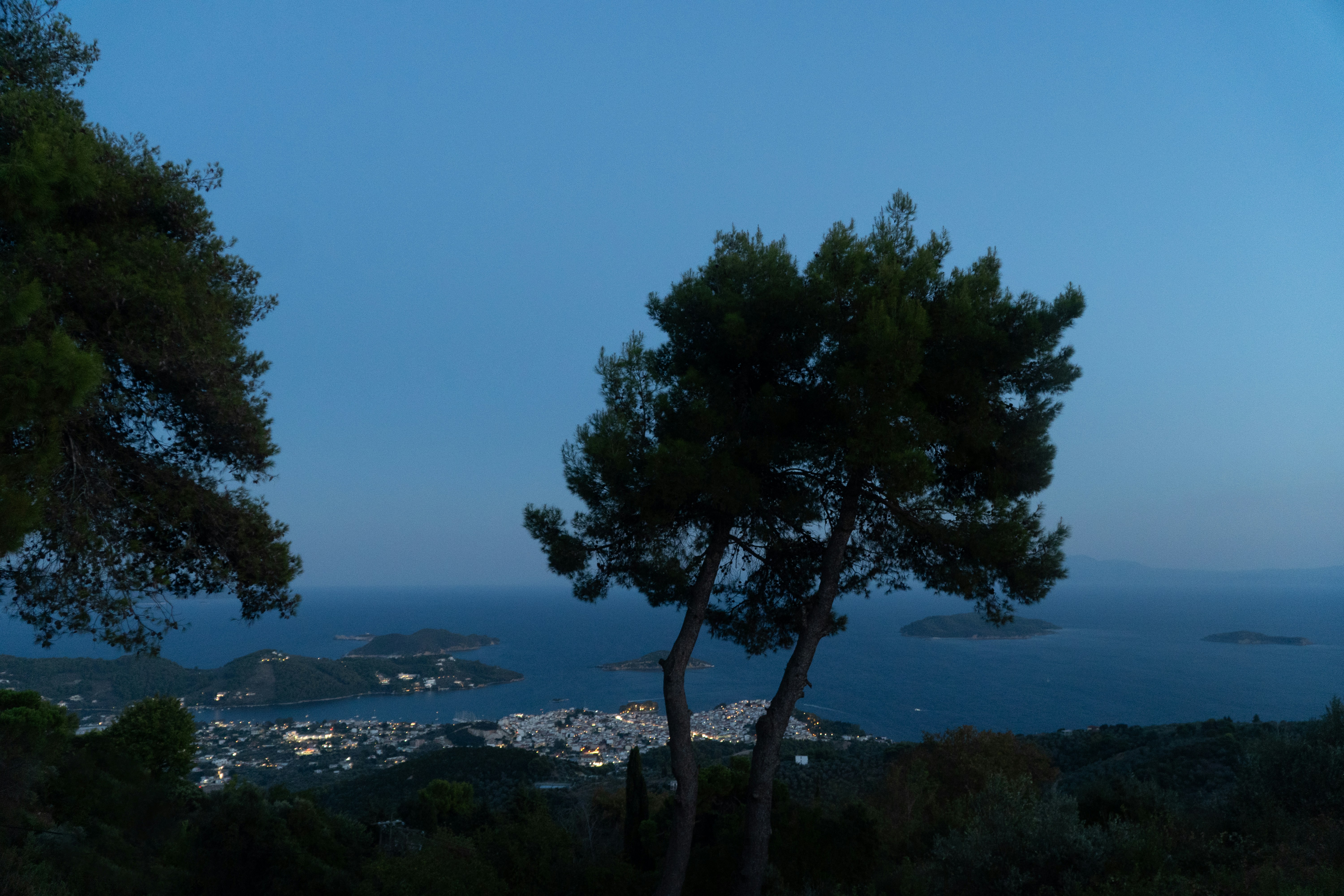 Pine trees overlooking a coastal town and islands at blue hour