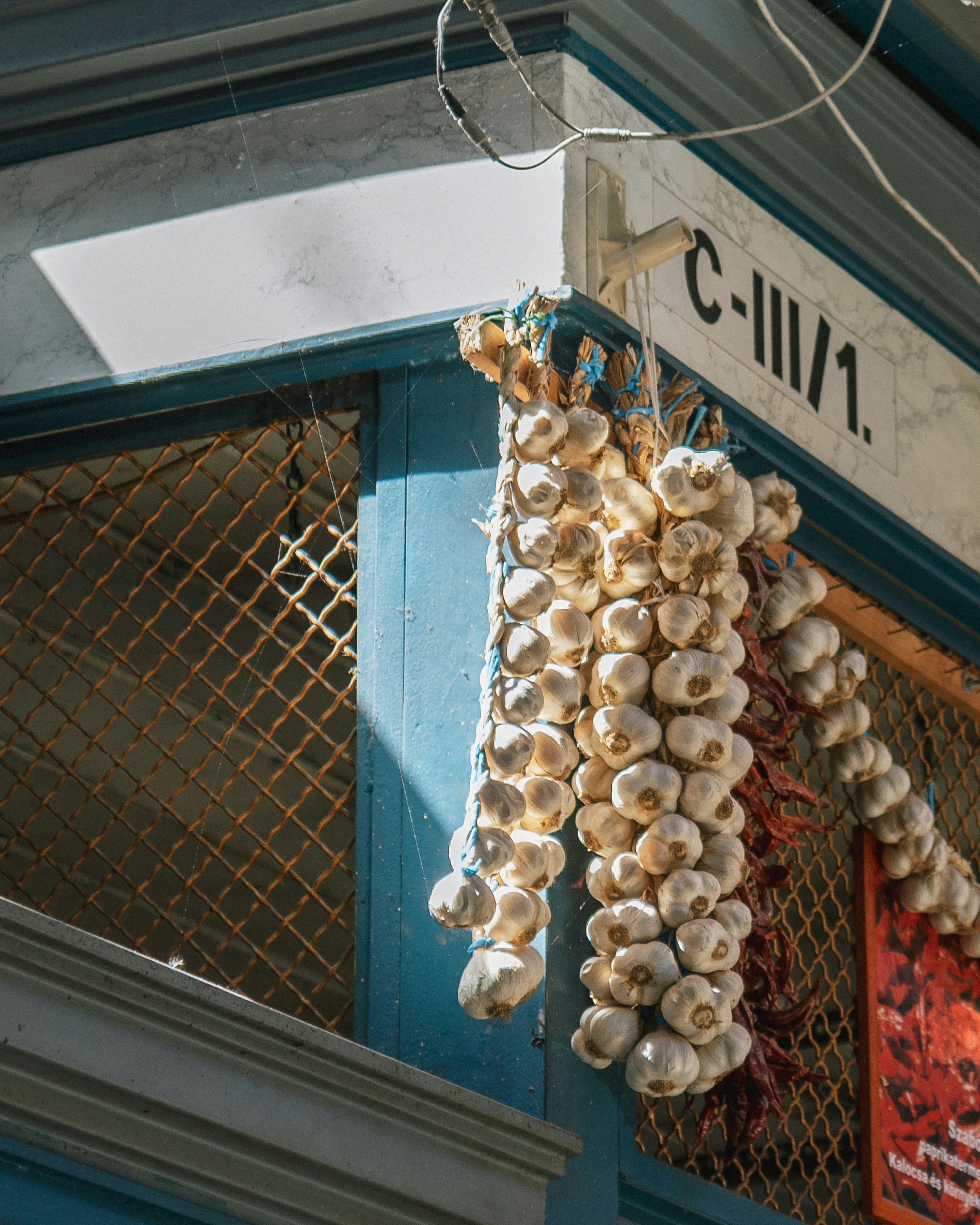 Braids of white garlic hanging from a blue market stall corner