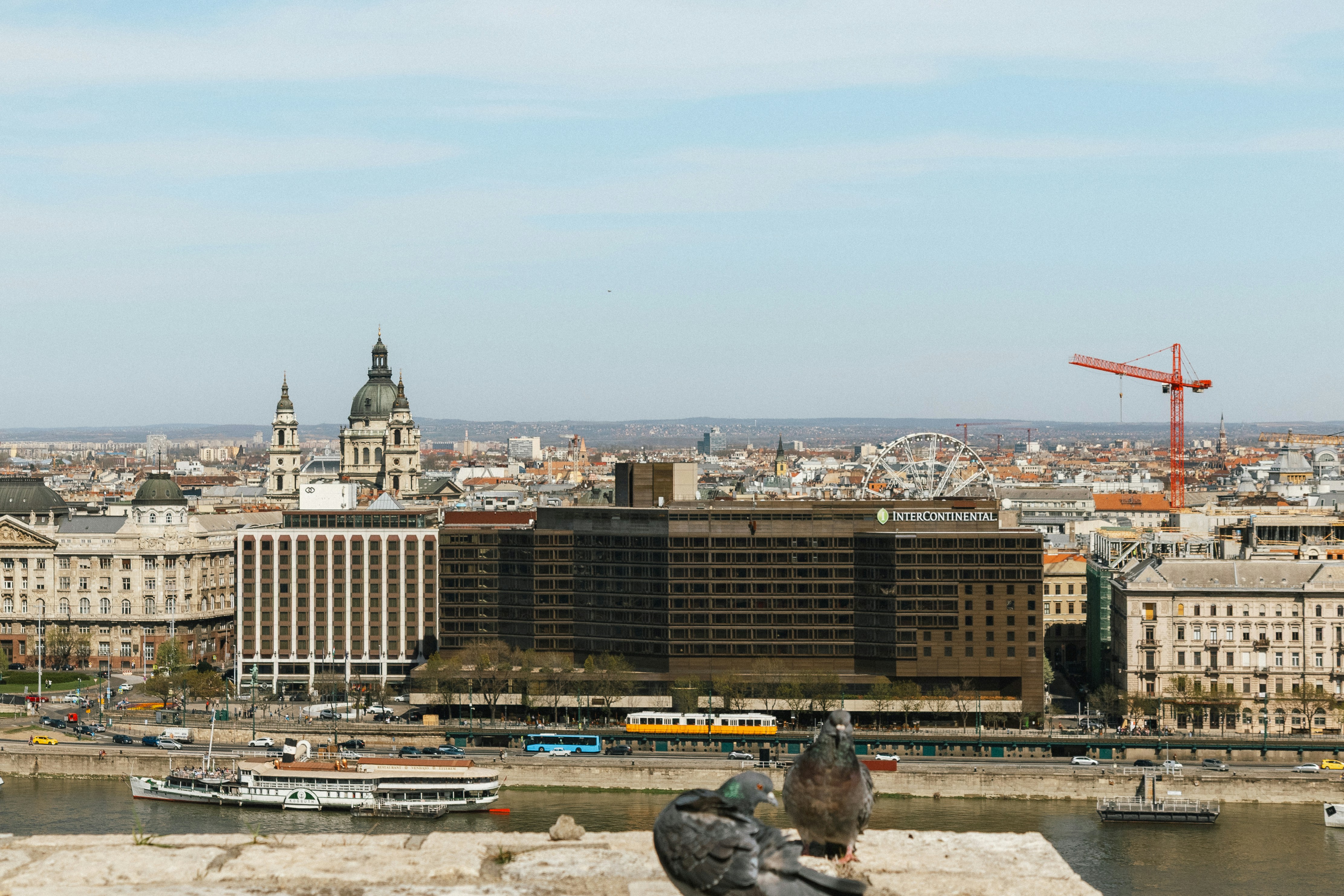 Two pigeons on a stone wall overlooking the Danube river and Budapest cityscape