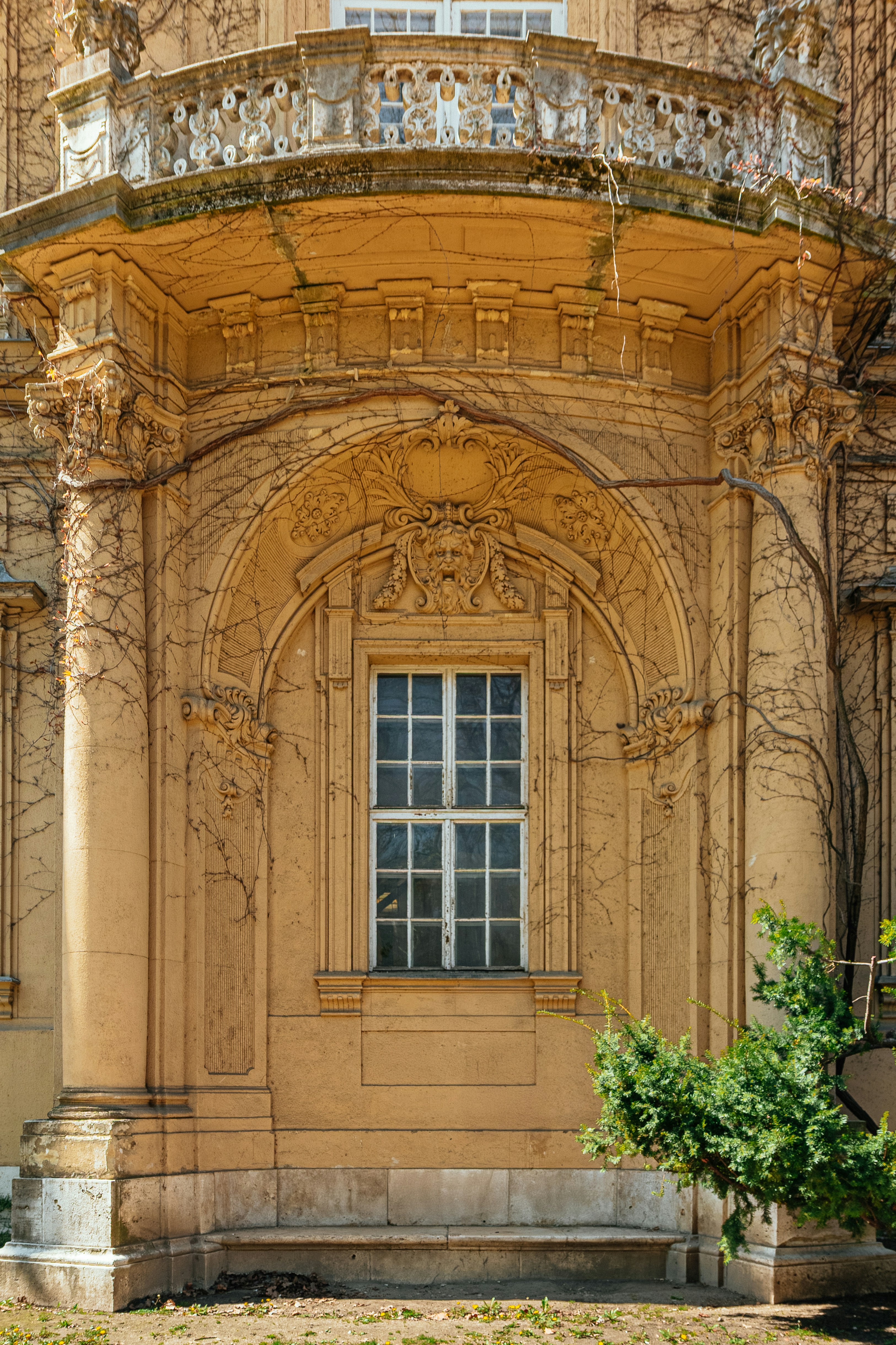 A window with a grid frame set in a tan stone wall with vines