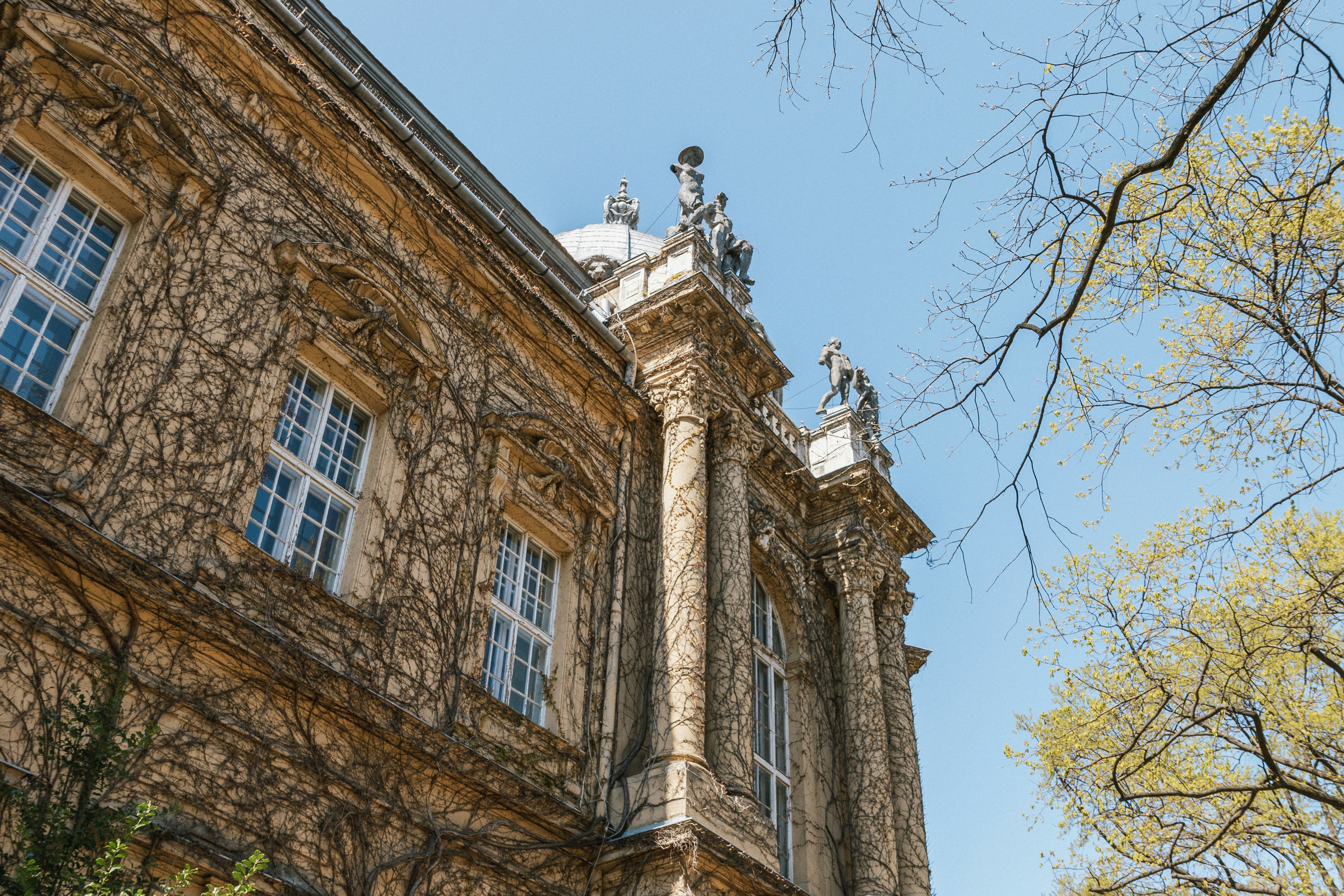 A historic building facade covered in climbing vines under a clear blue sky