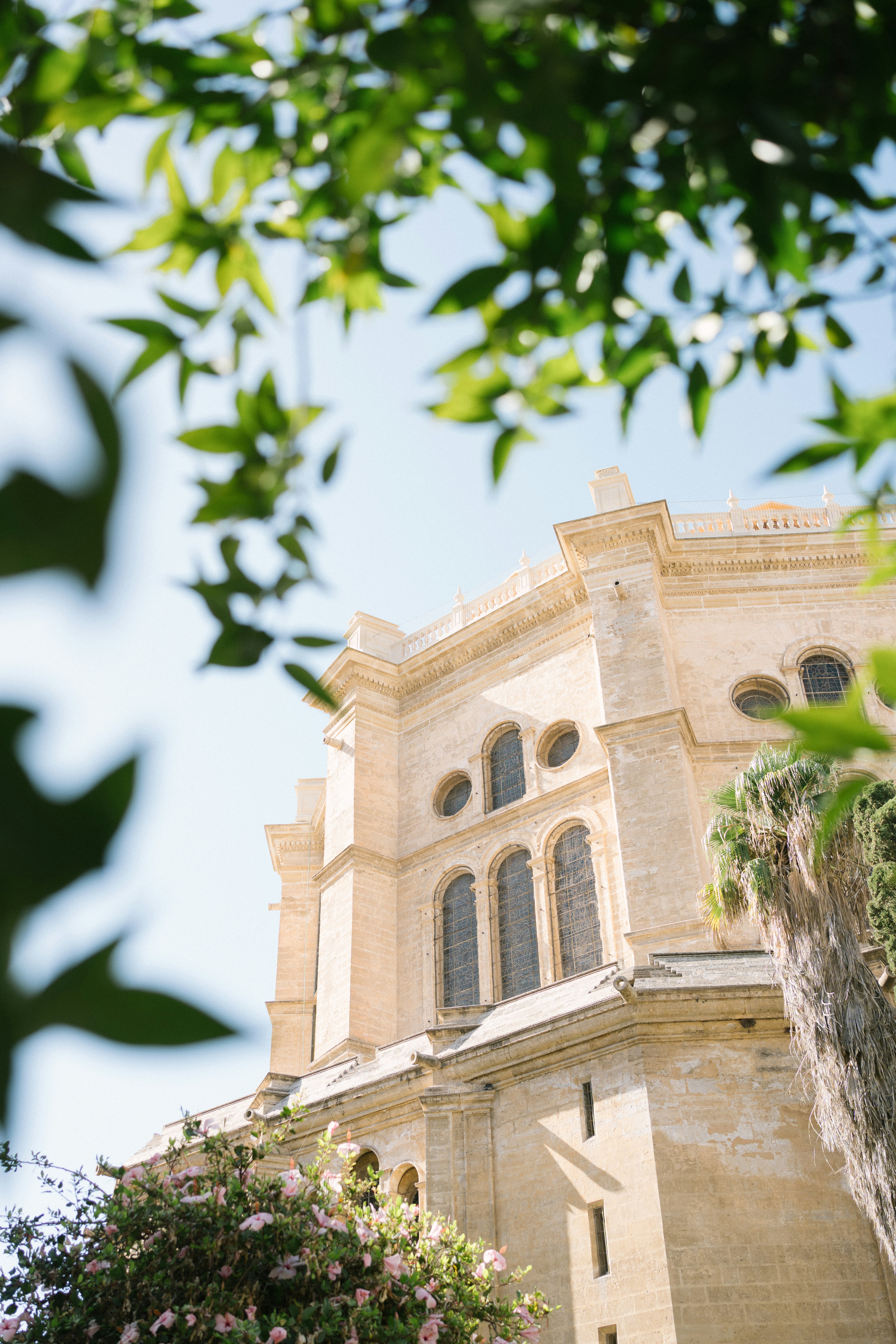 The stone facade of the Cathedral of Malaga framed by green leaves