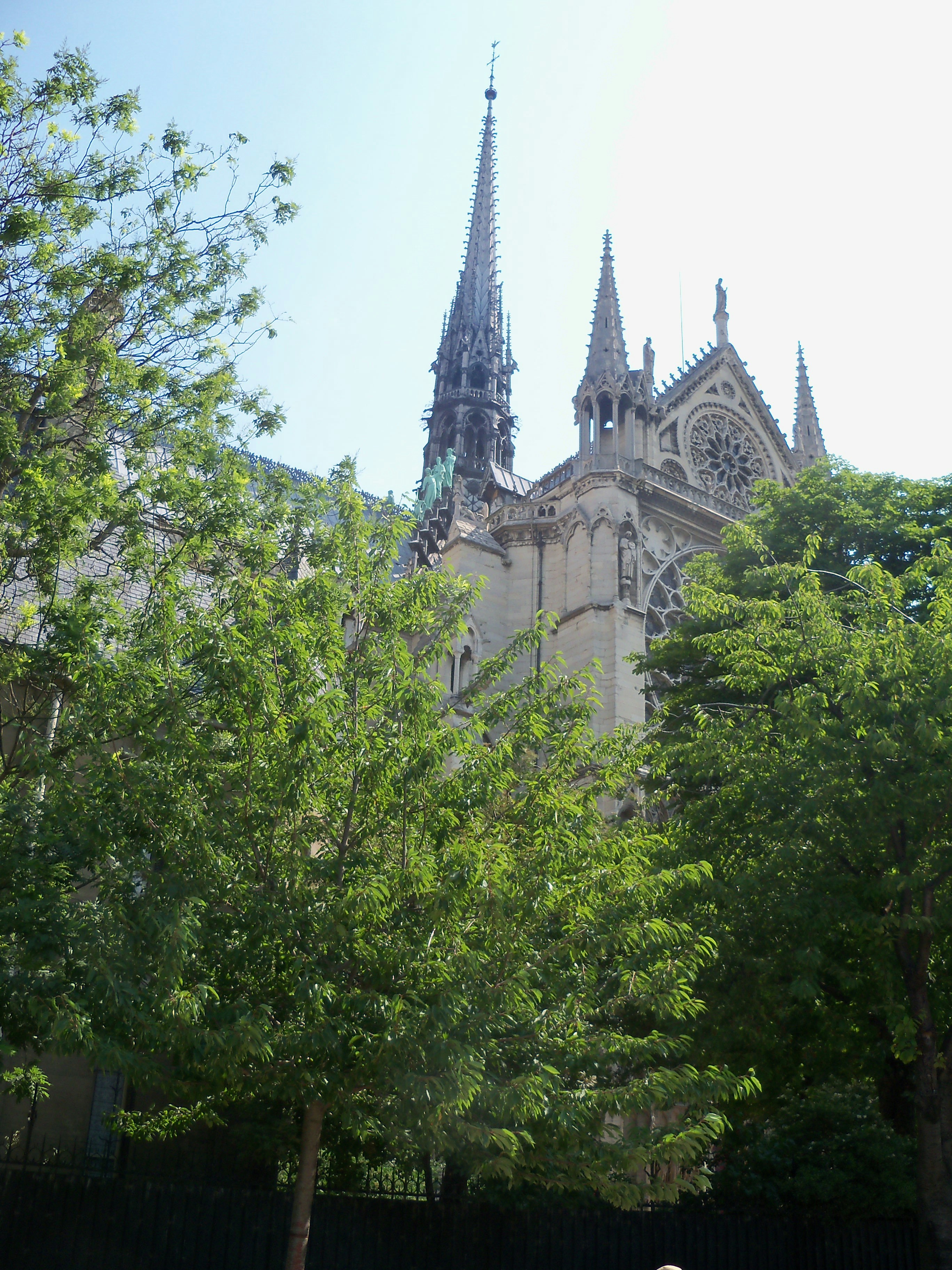 The spire and rose window of Notre-Dame de Paris behind lush green trees