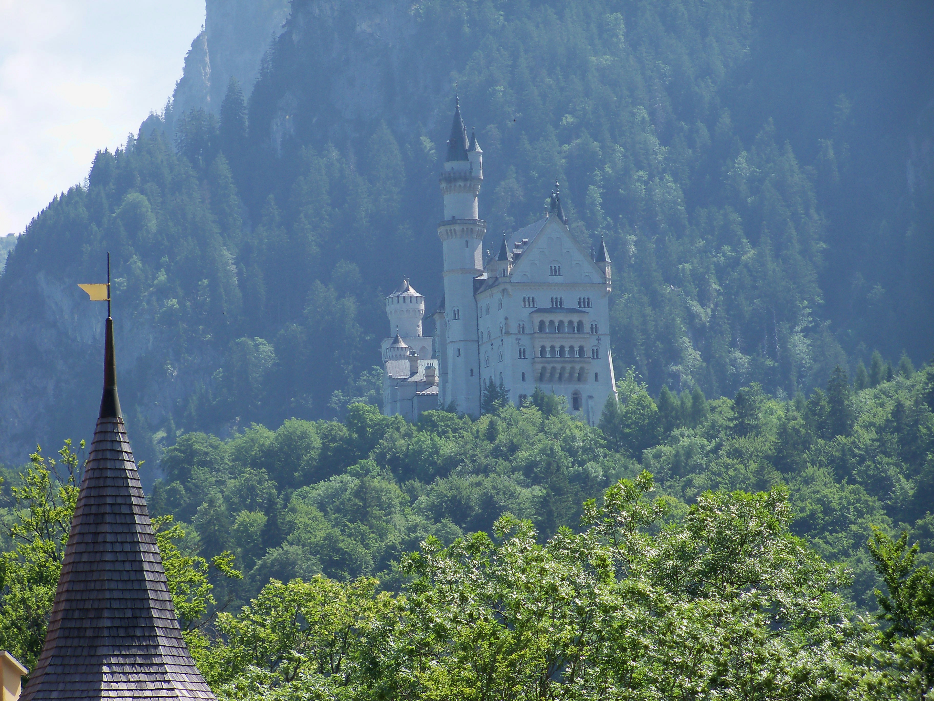 Neuschwanstein Castle nestled in a dense green forest on a mountain slope