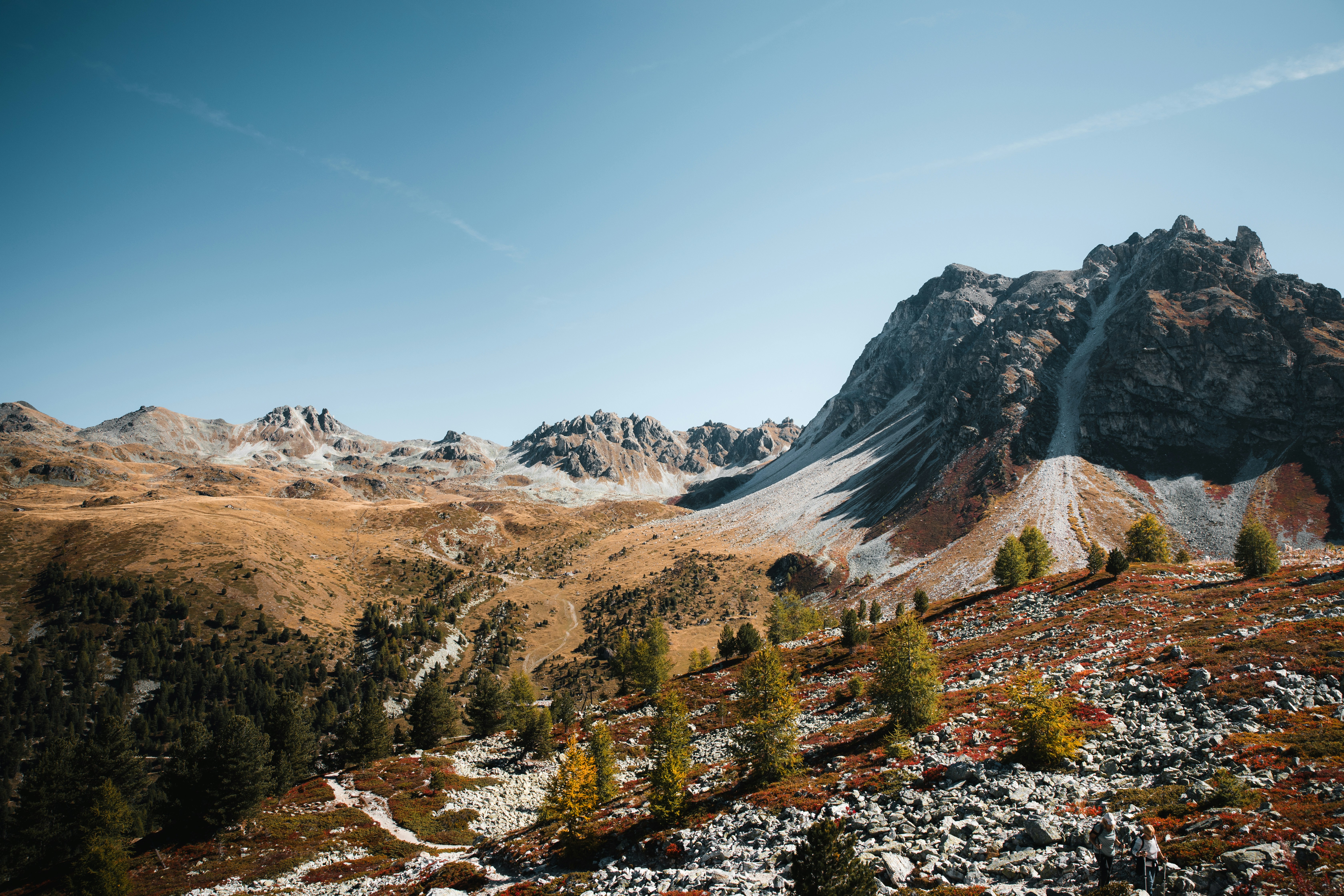 Rocky mountain peaks above a valley with autumn foliage and scattered pine trees