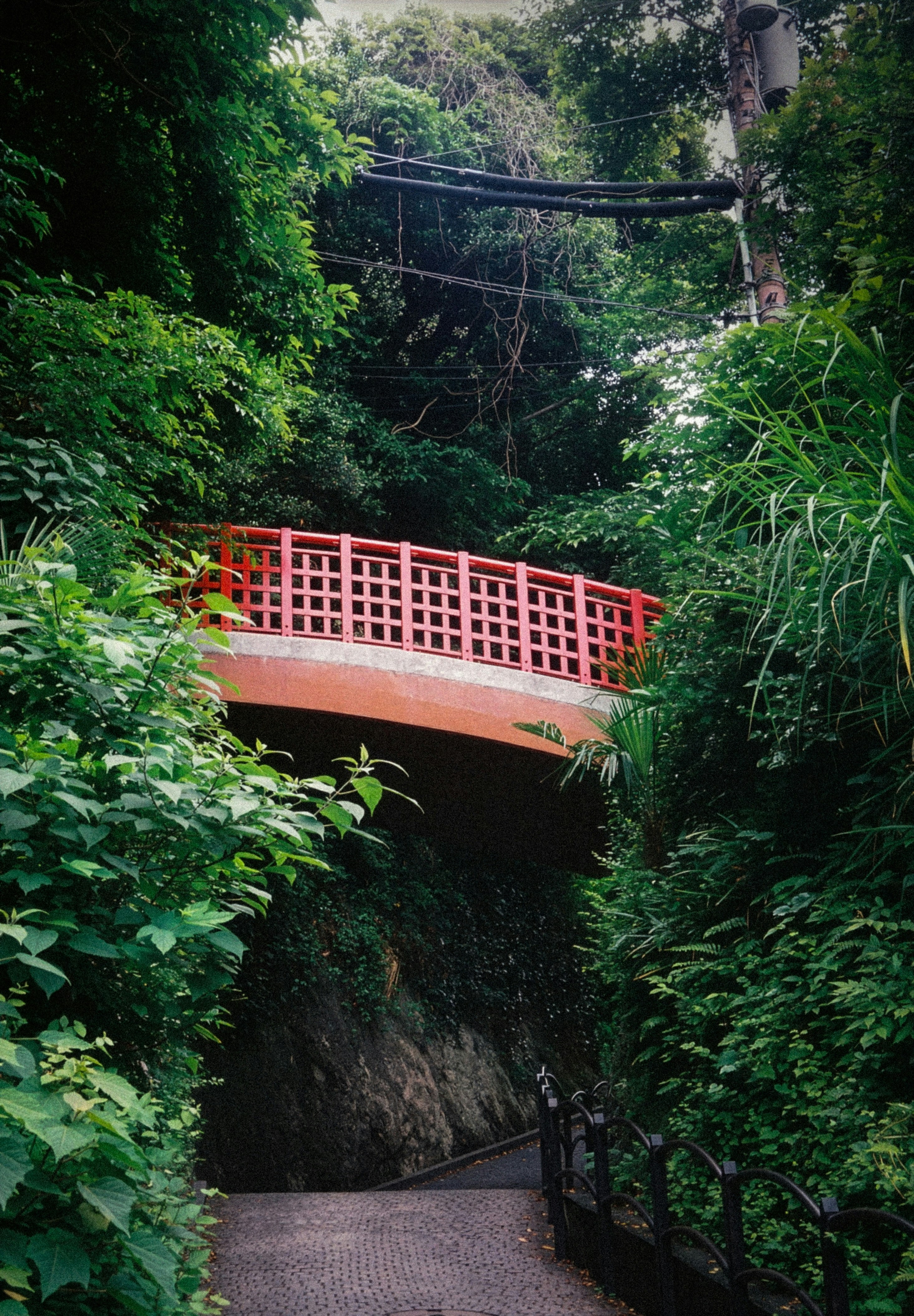A red arched bridge surrounded by lush green foliage in Enoshima, Fujisawa