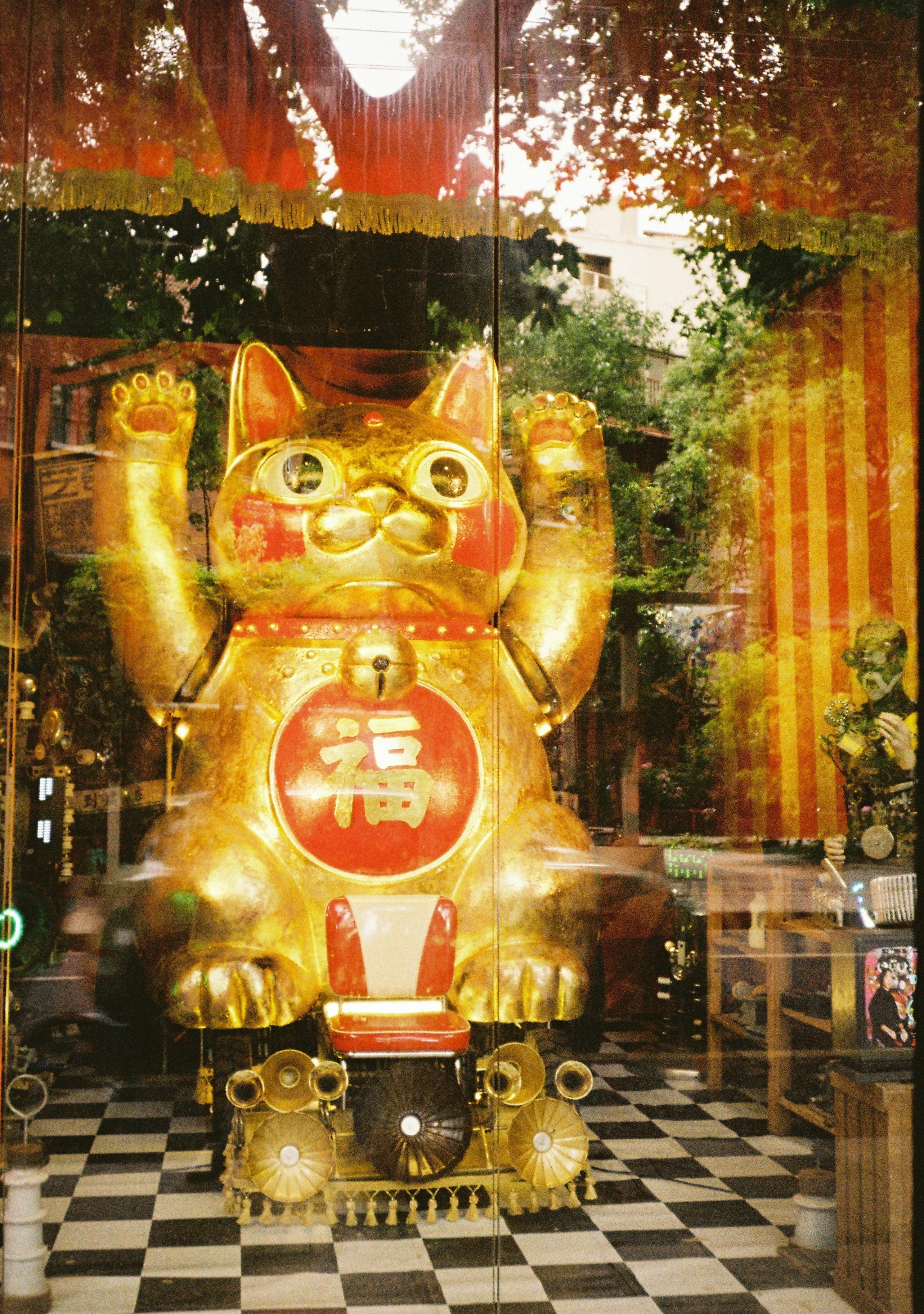 A large golden maneki-neko cat figurine with both paws raised in a shop window
