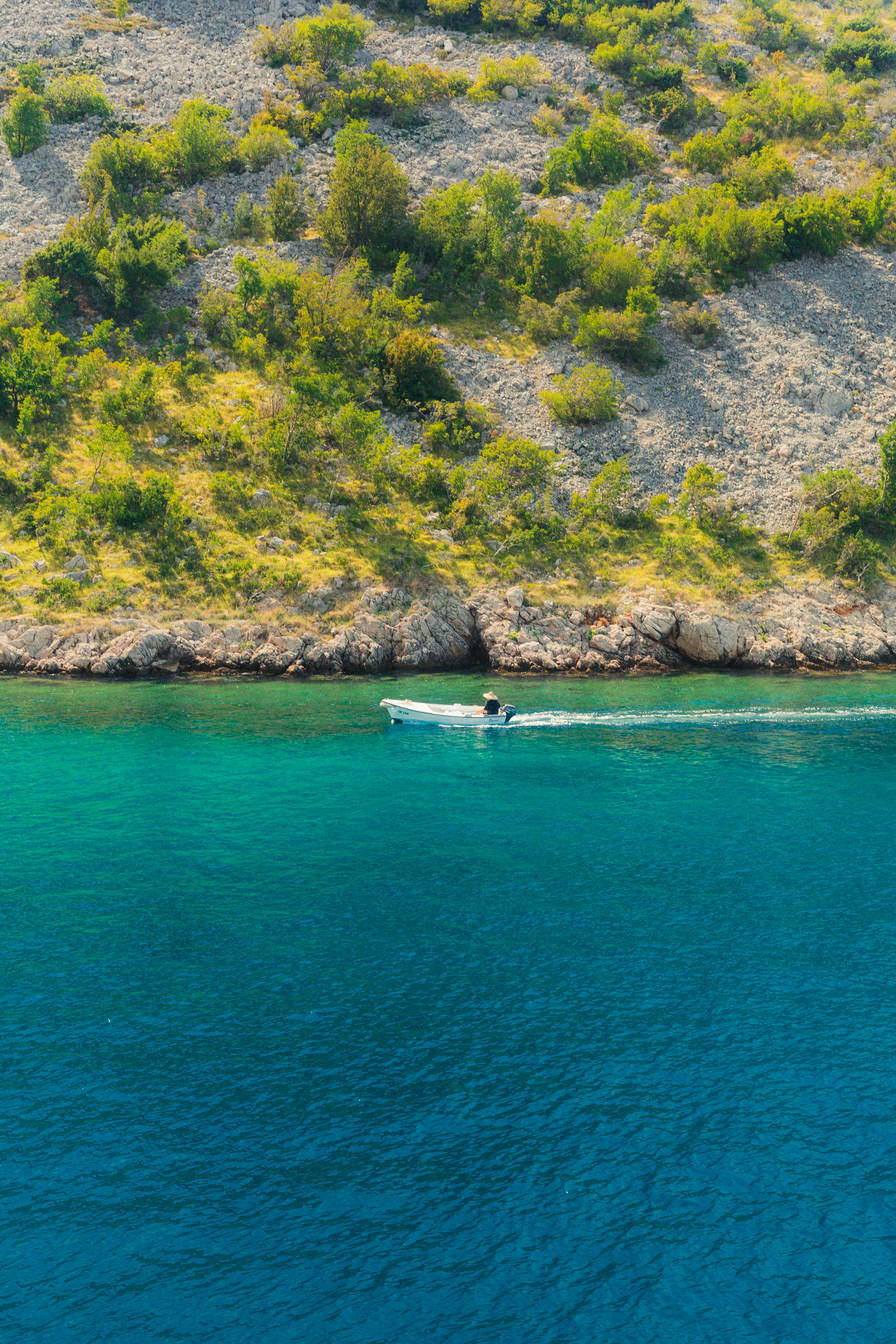 A person in a small motorboat traveling along a rocky, tree-lined coastline