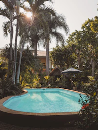 A swimming pool surrounded by palm trees and lush tropical foliage in a garden