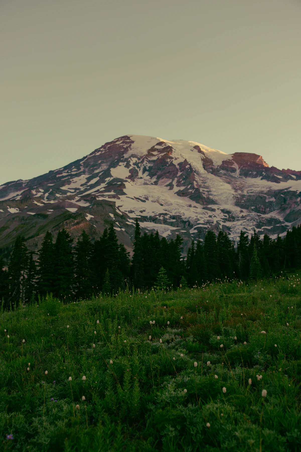 Washington evergreen mountain landscape
