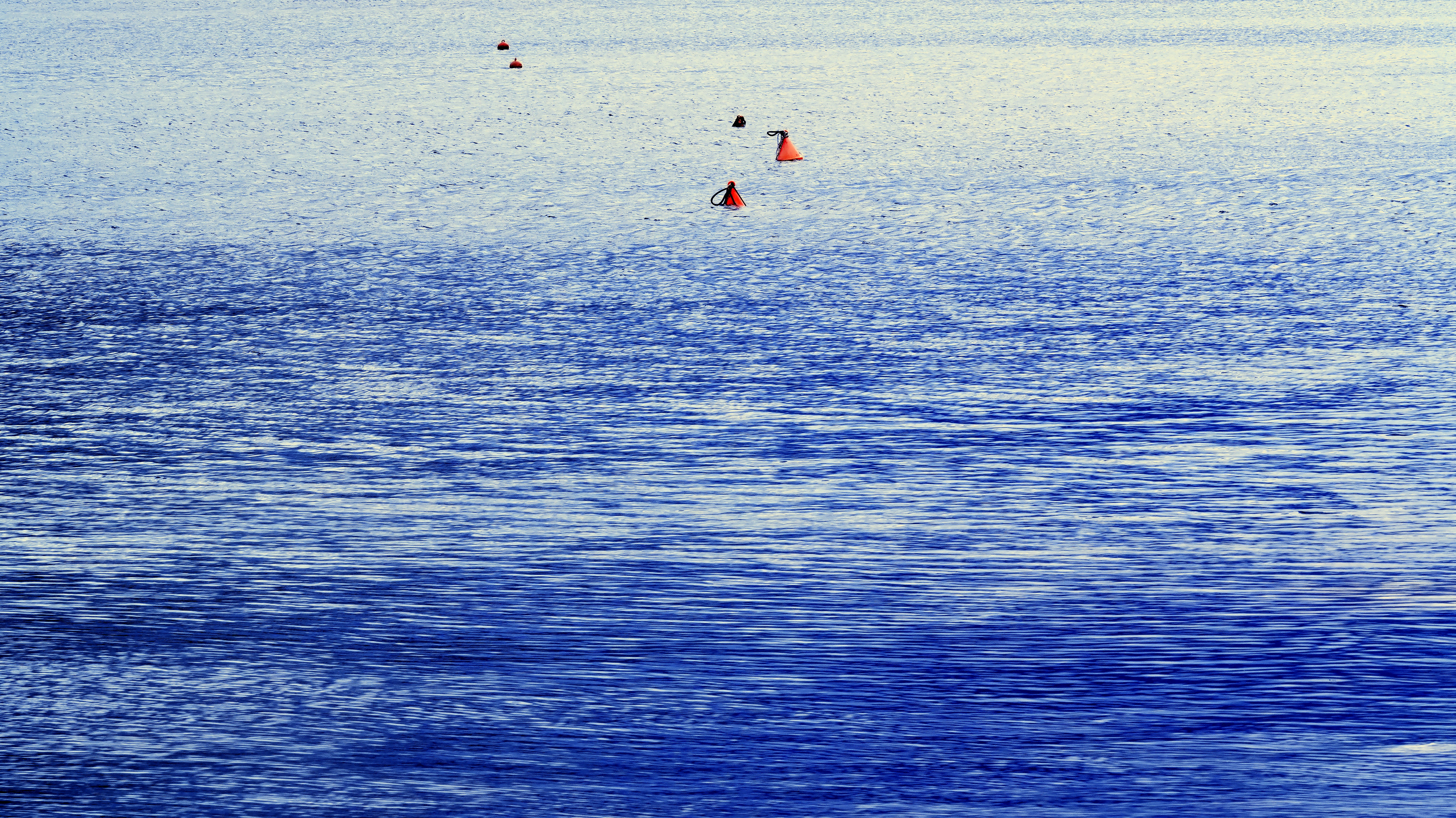 Small orange buoys floating on the surface of deep blue rippling water