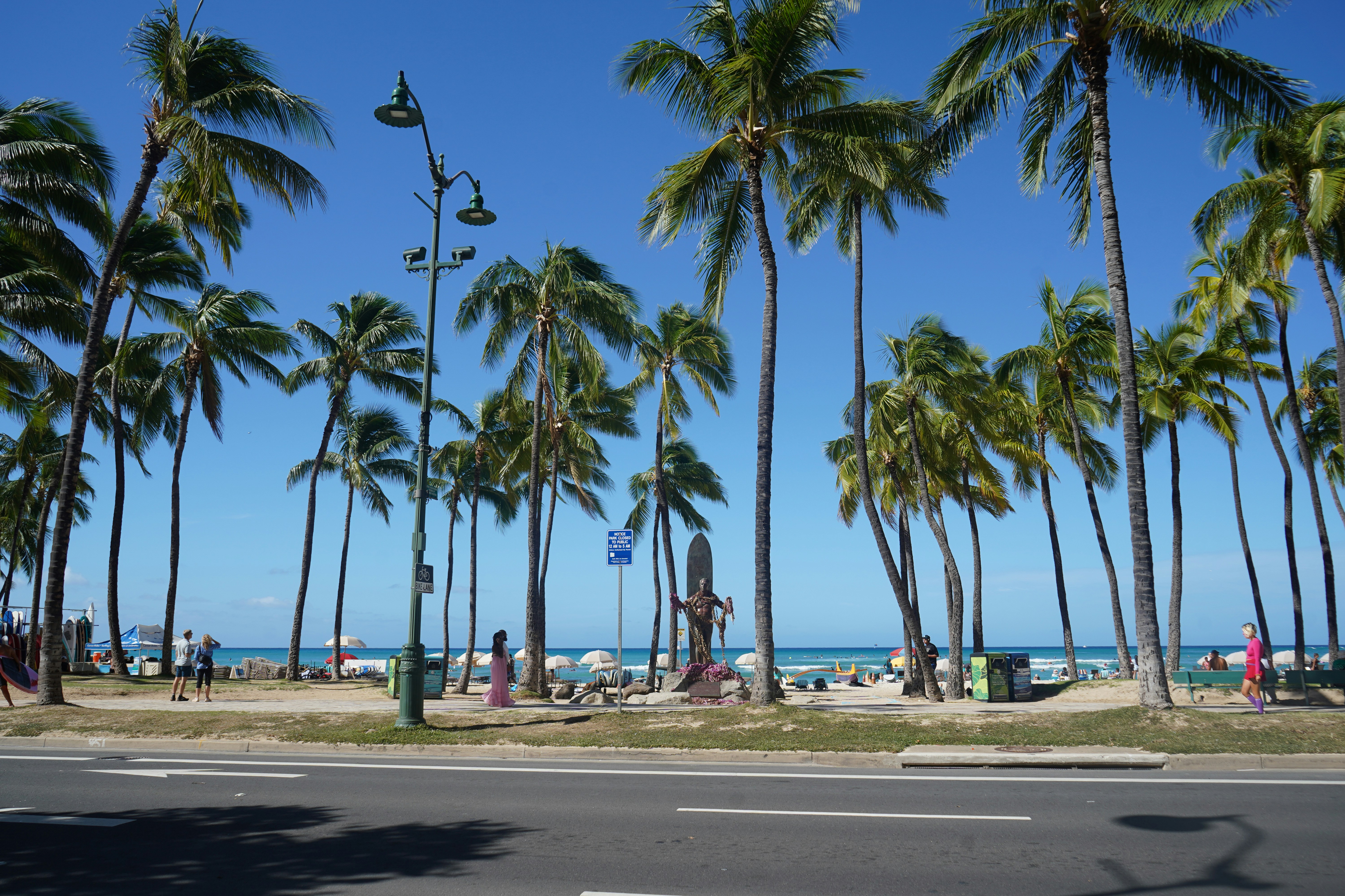 The Duke Kahanamoku statue on Waikiki Beach surrounded by tall palm trees in Honolulu