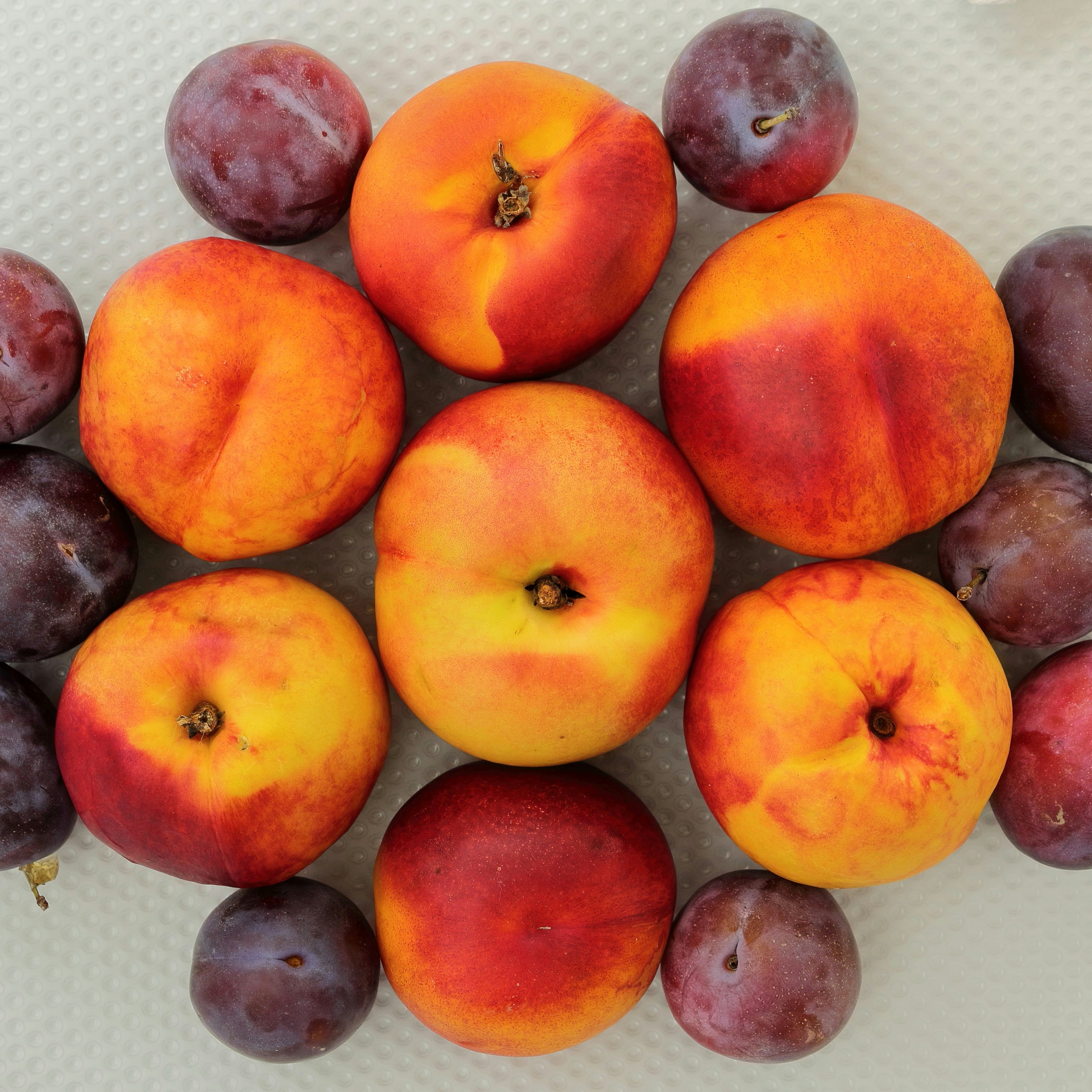 Nectarines