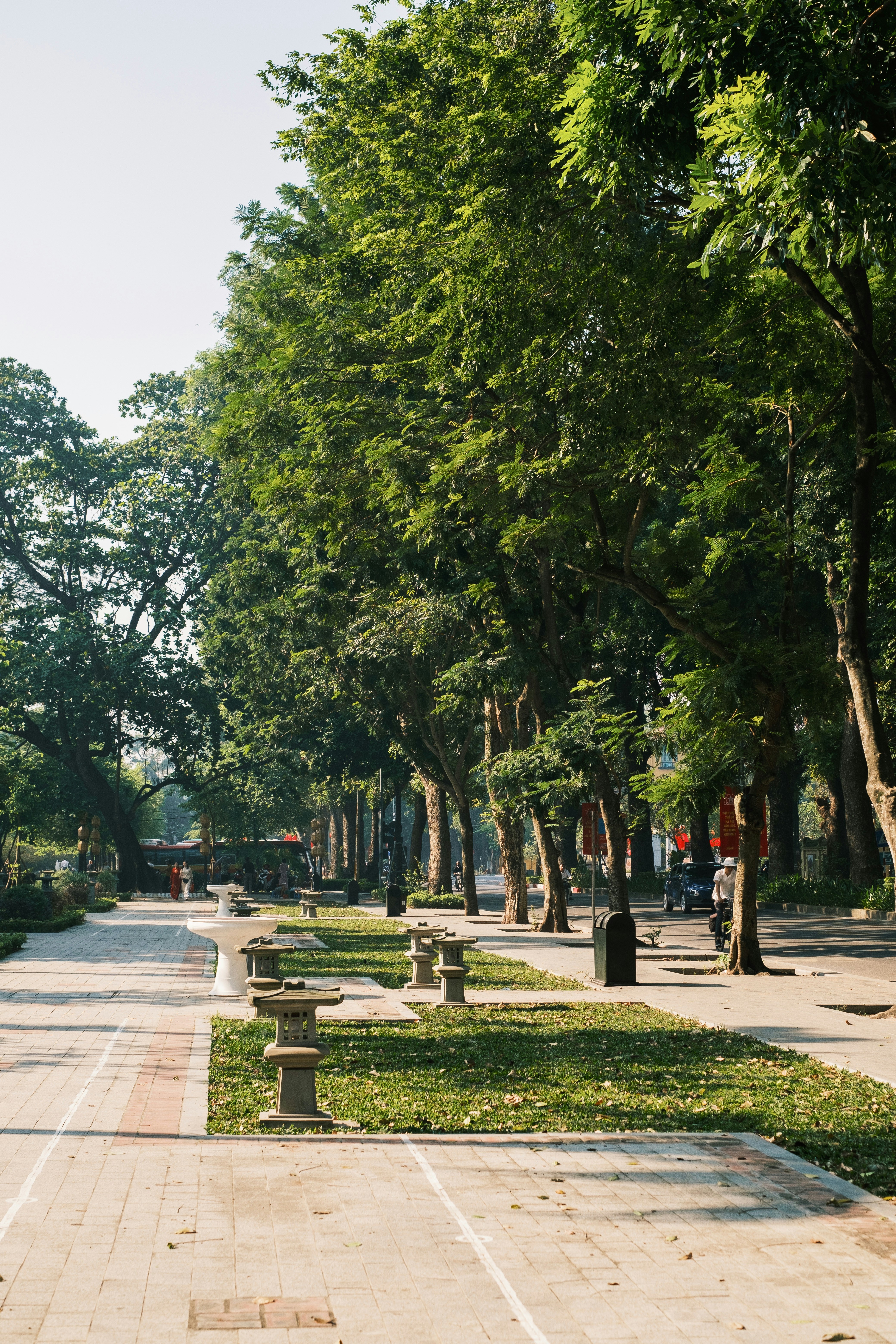 A paved walkway lined with stone lanterns and tall trees in a city park