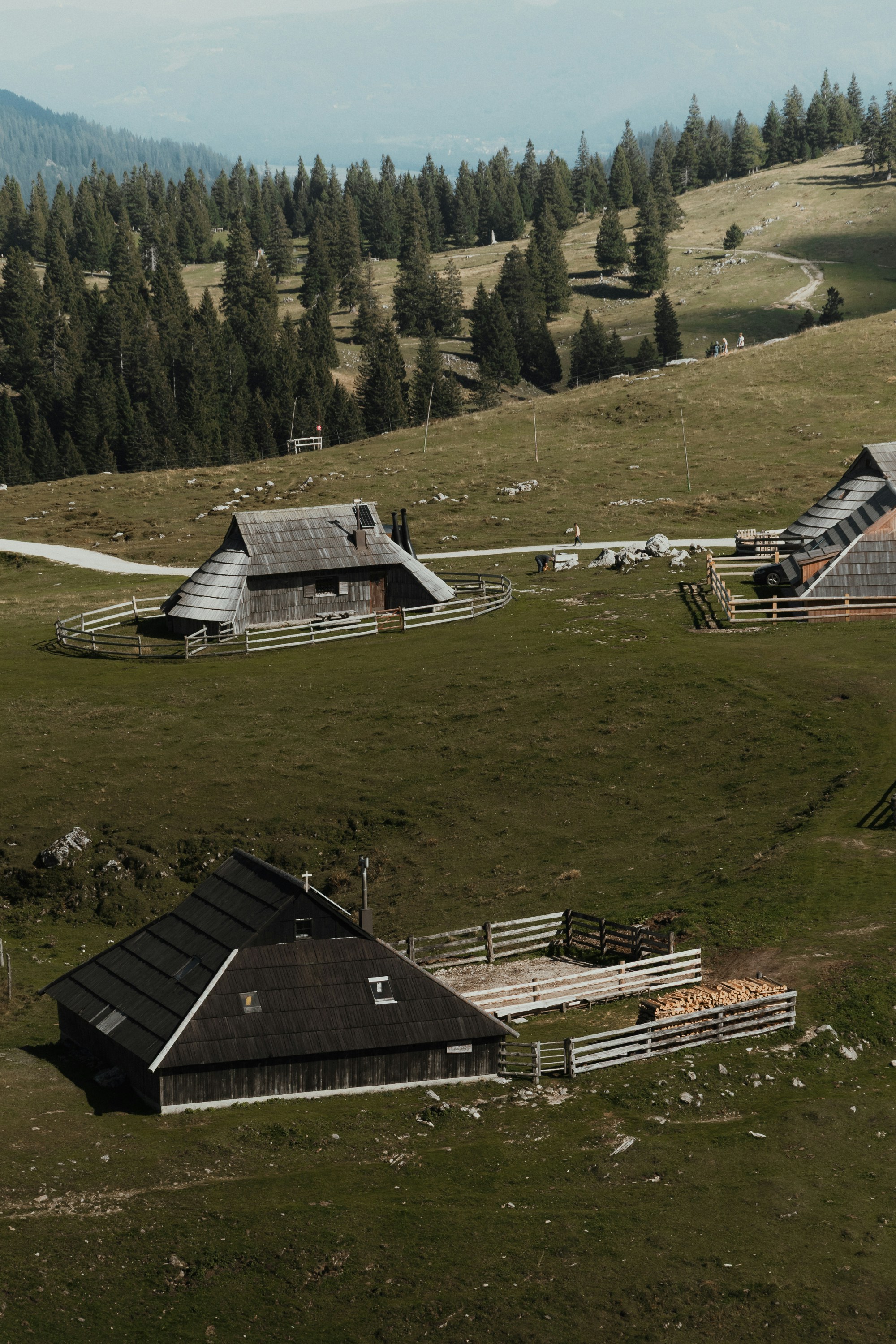 Wooden cabins with dark roofs on a grassy mountain pasture with pine trees