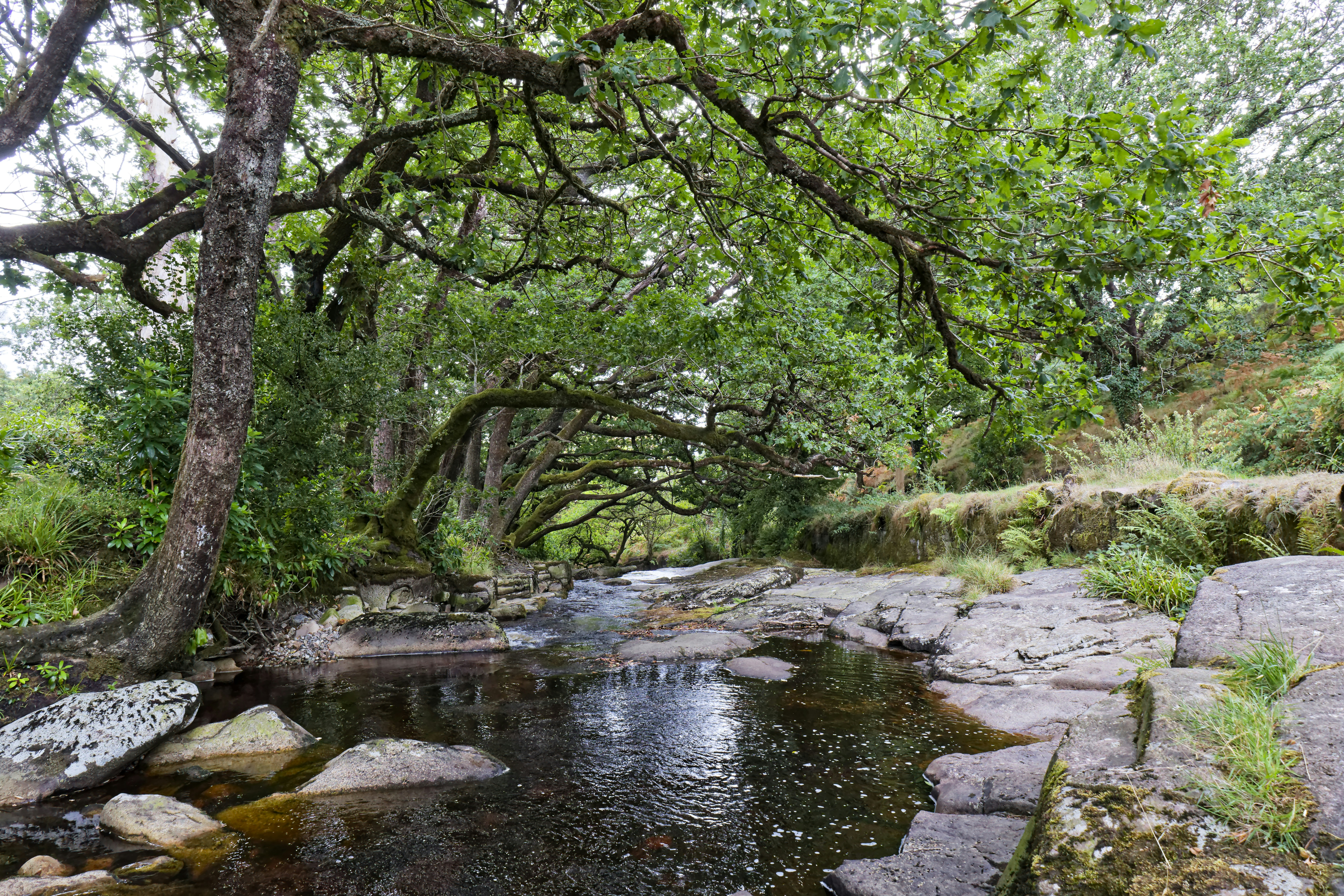 Gorges de la Canche — Morvan