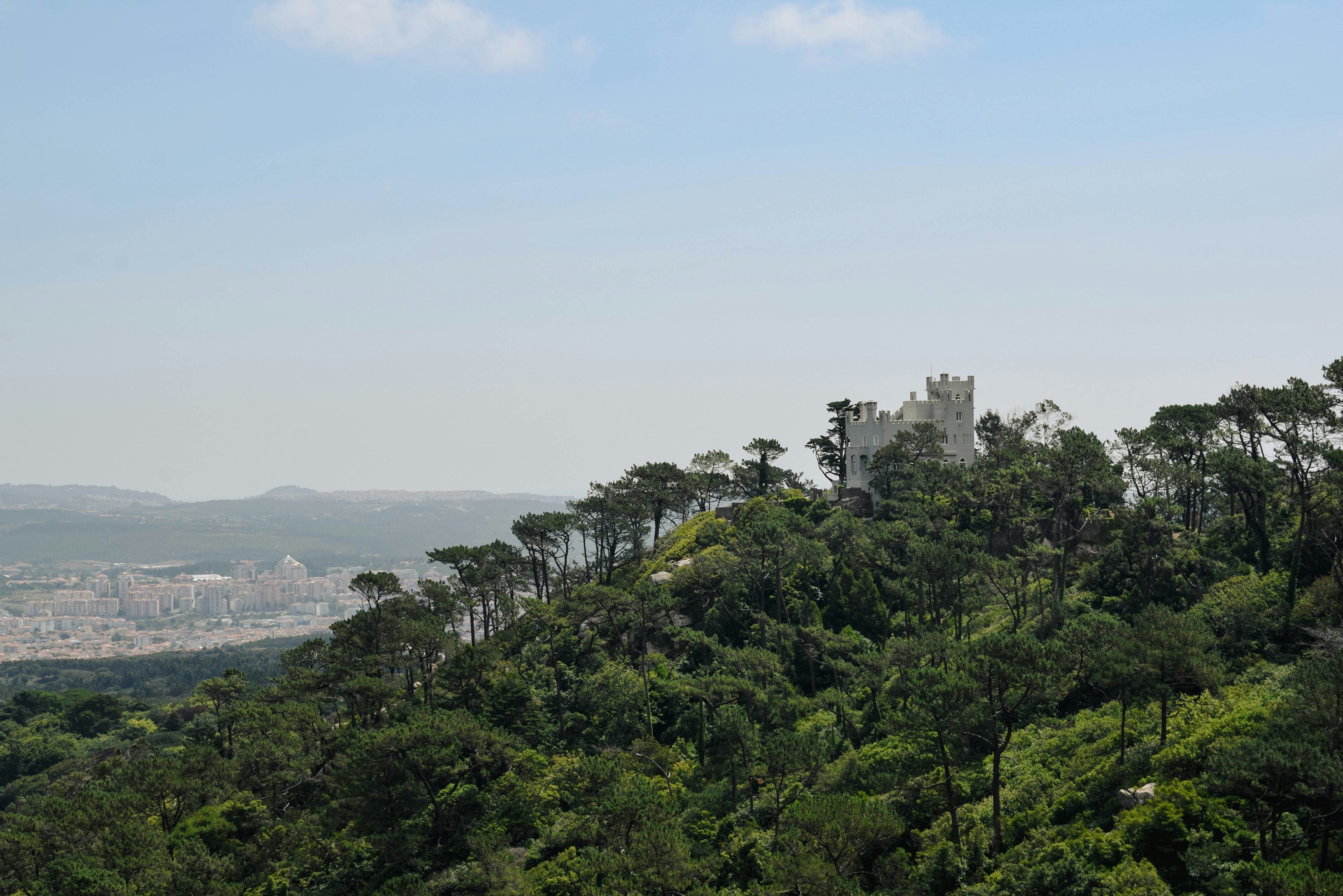 A white castle on a forested hill overlooking a distant city