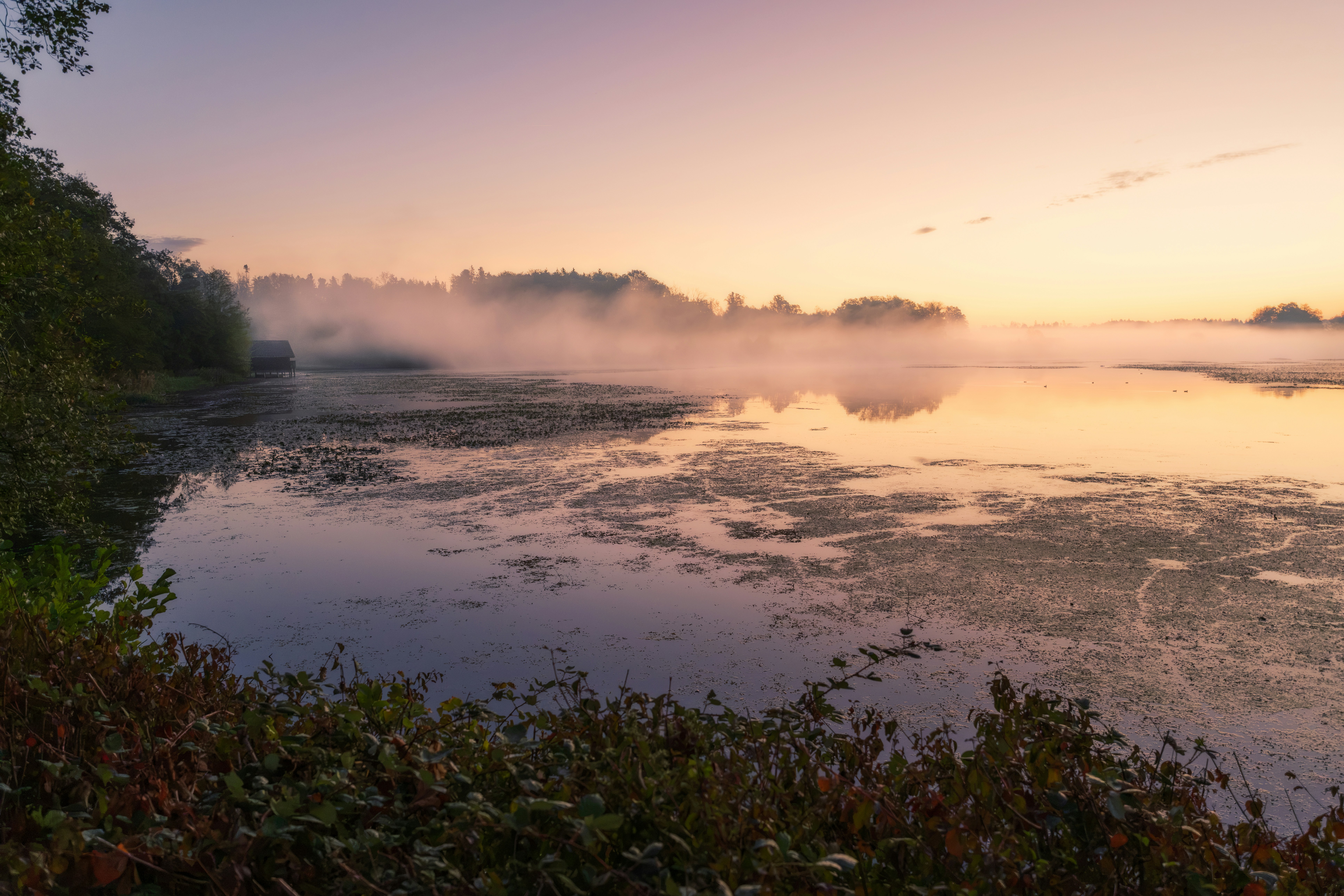 A calm lake with low fog under a soft orange sky at golden hour
