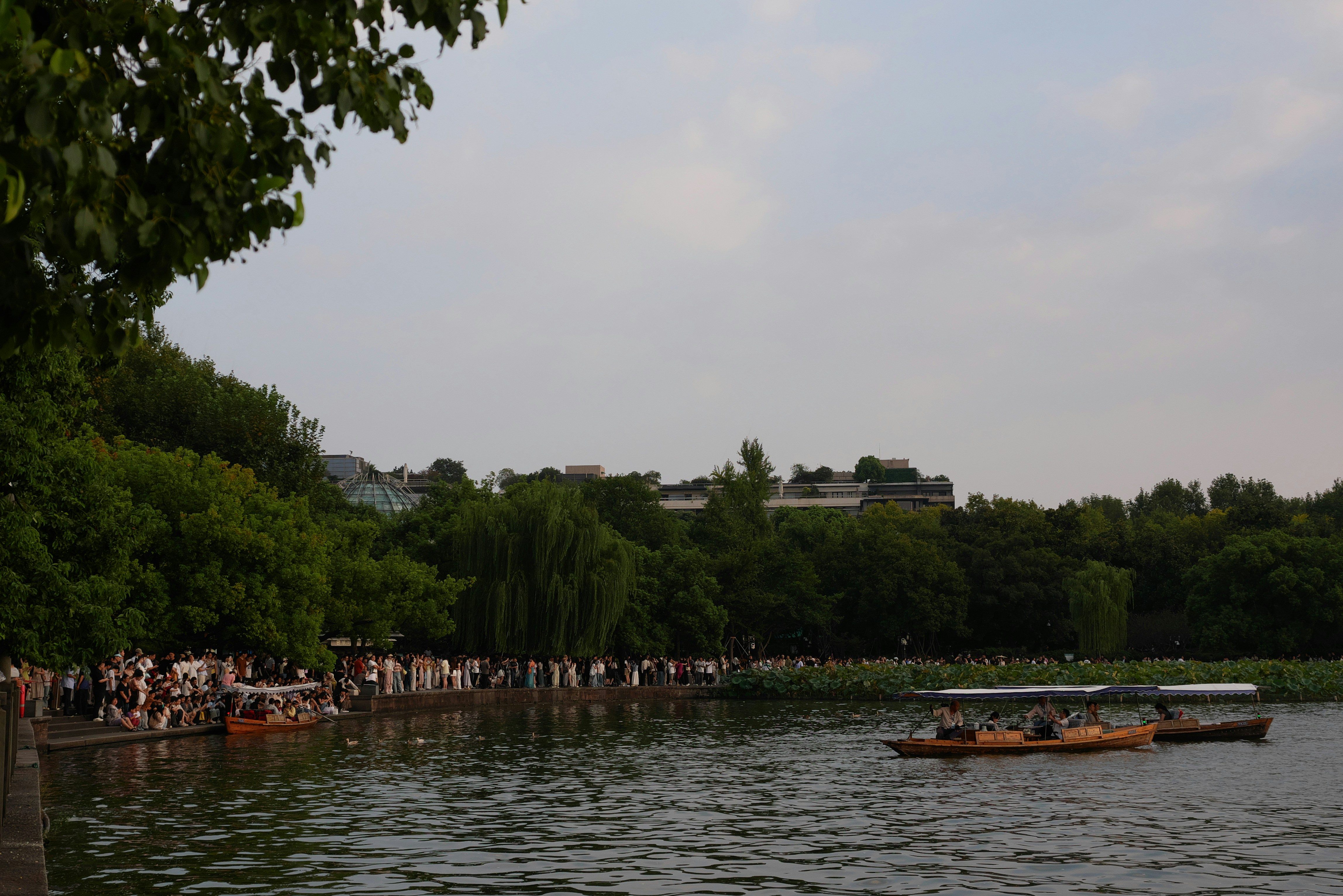 A crowd of people along a tree-lined lake with wooden boats on water