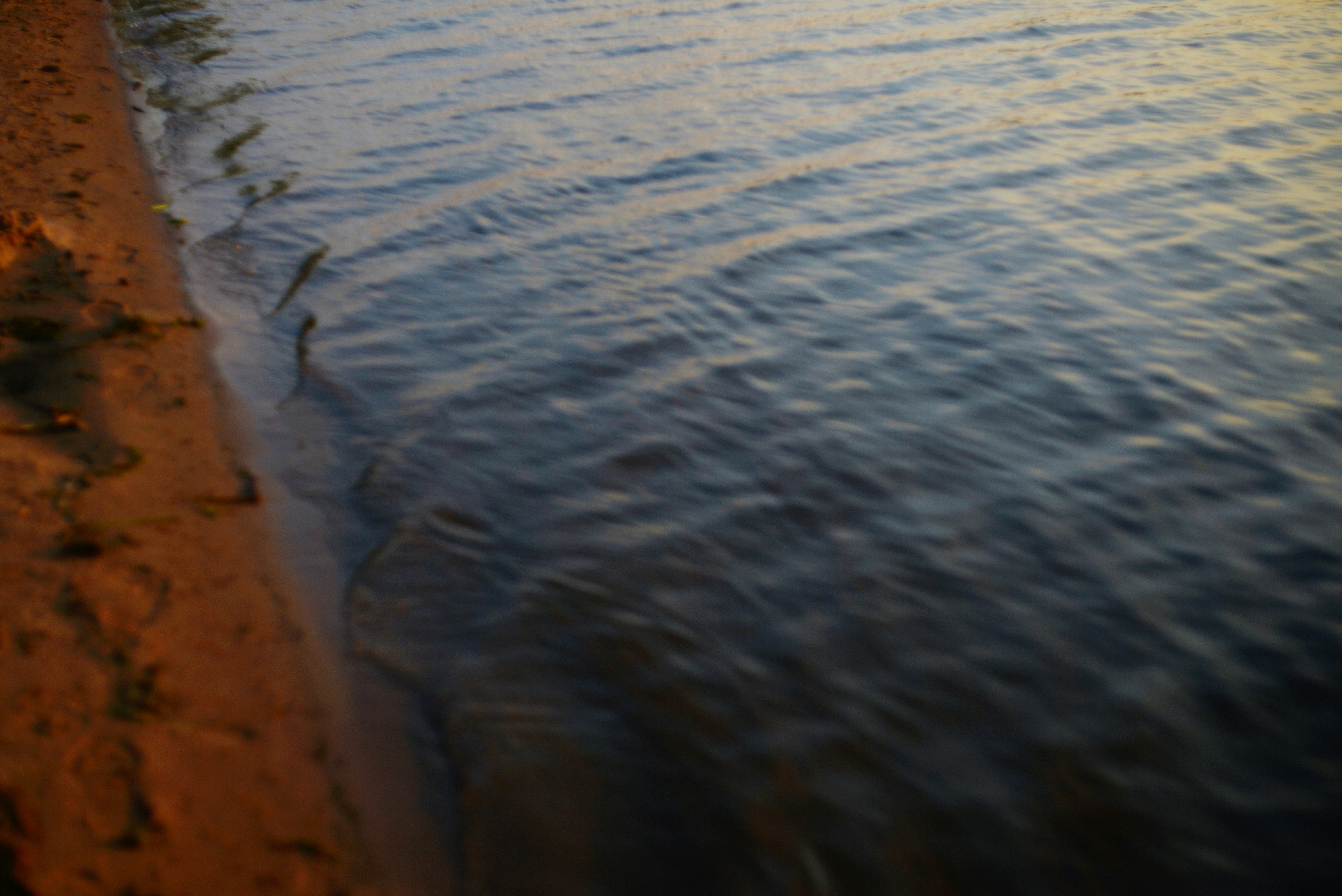Plan d'eau du Colombier — Anse