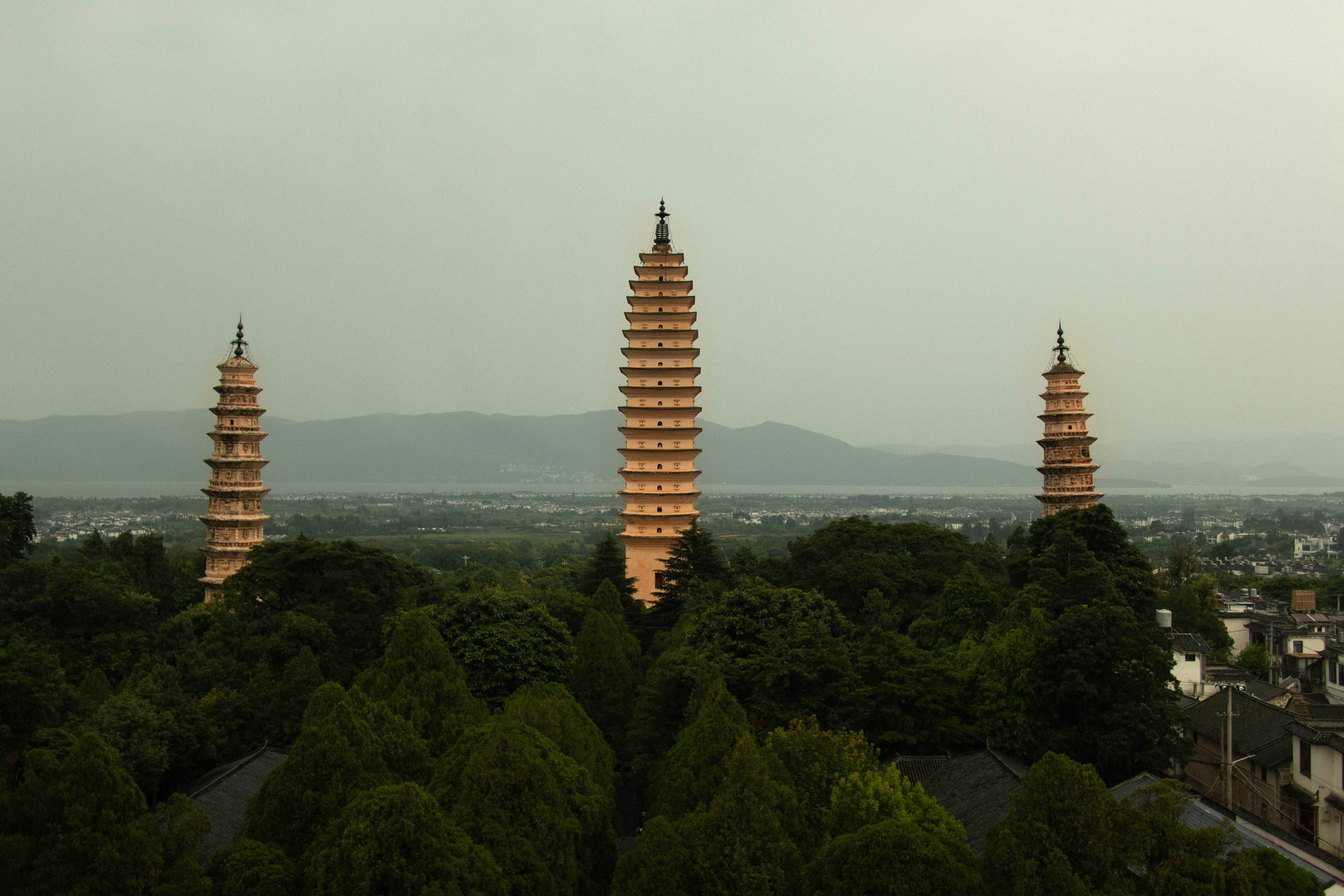 Three tall pagodas rising above dense green trees with mountains in the distance