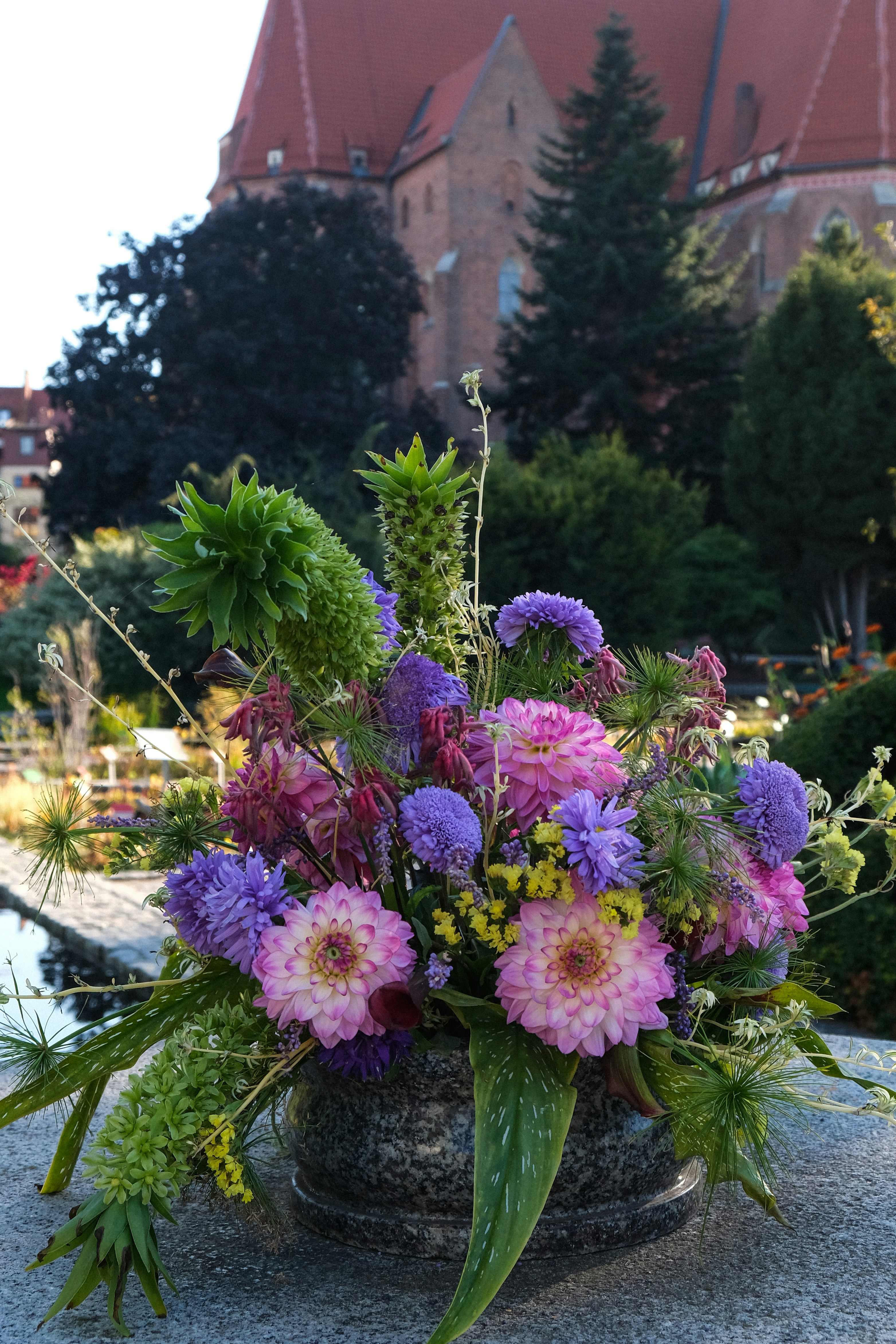 Ein Blumenarrangement aus rosa Dahlien und violetten Blumen in einem Steinpflanzgefäß