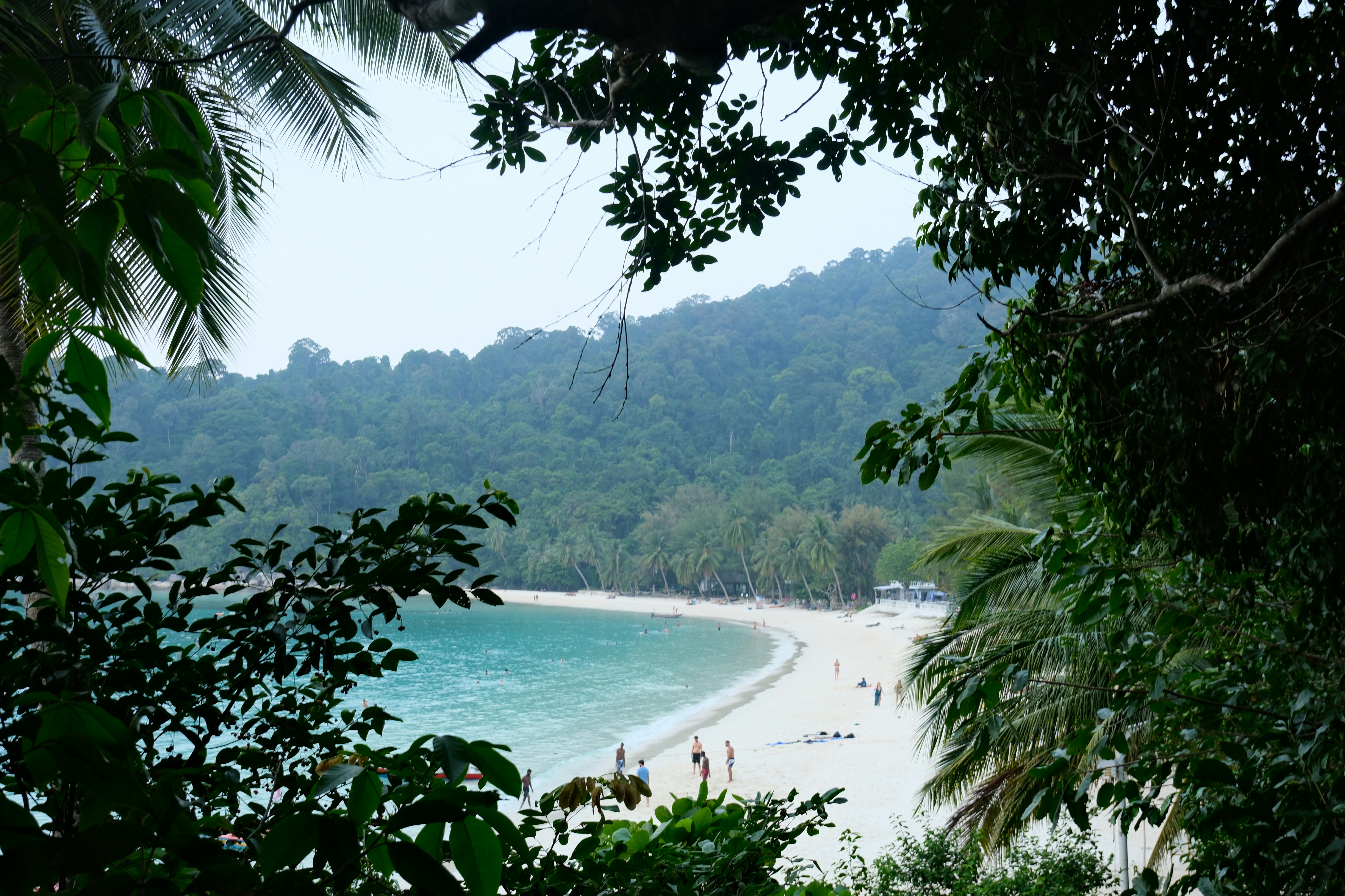 A sandy beach with turquoise water framed by lush green tropical foliage