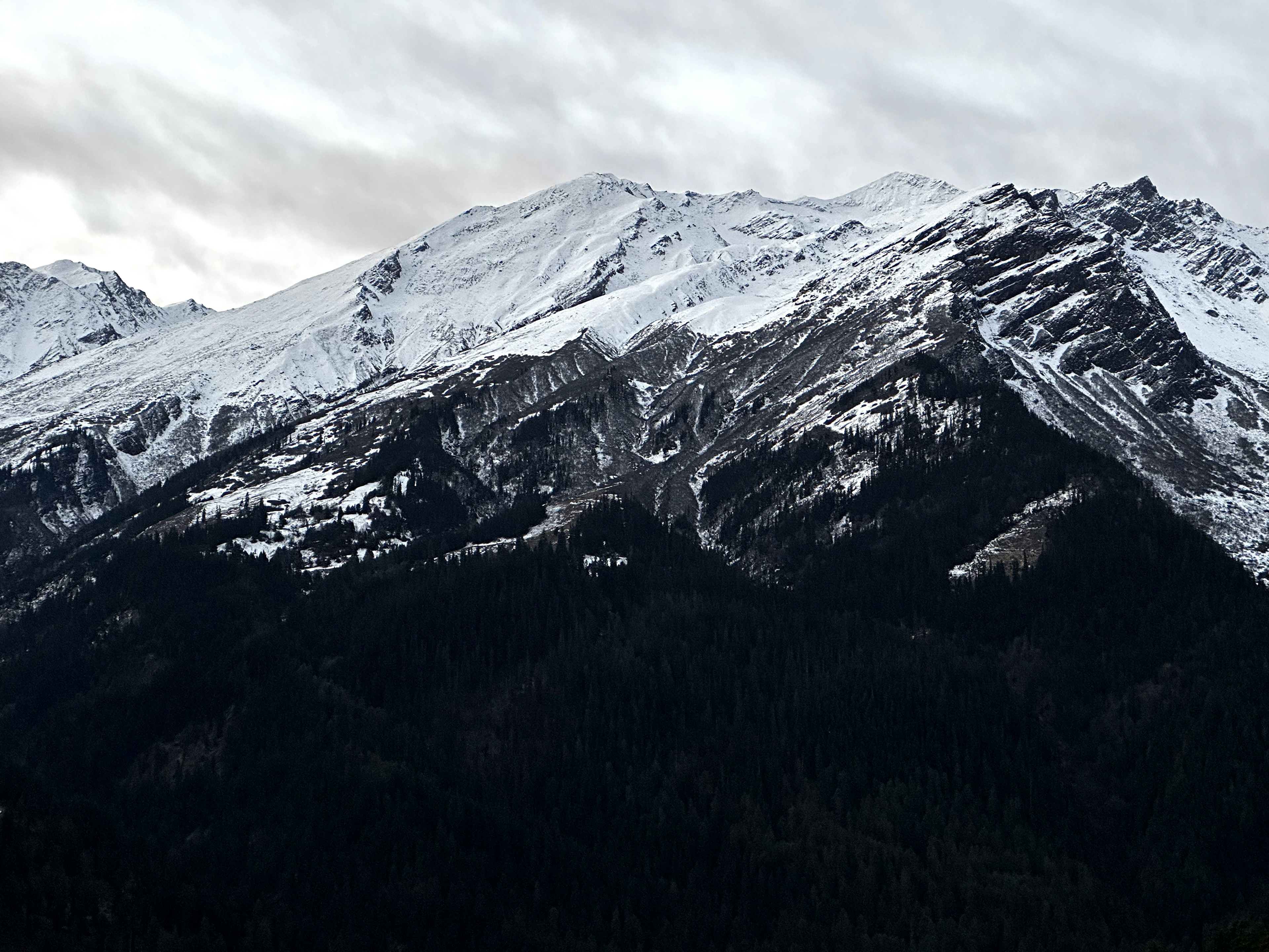 Snow-covered mountain peaks above a dense dark forest under a cloudy sky