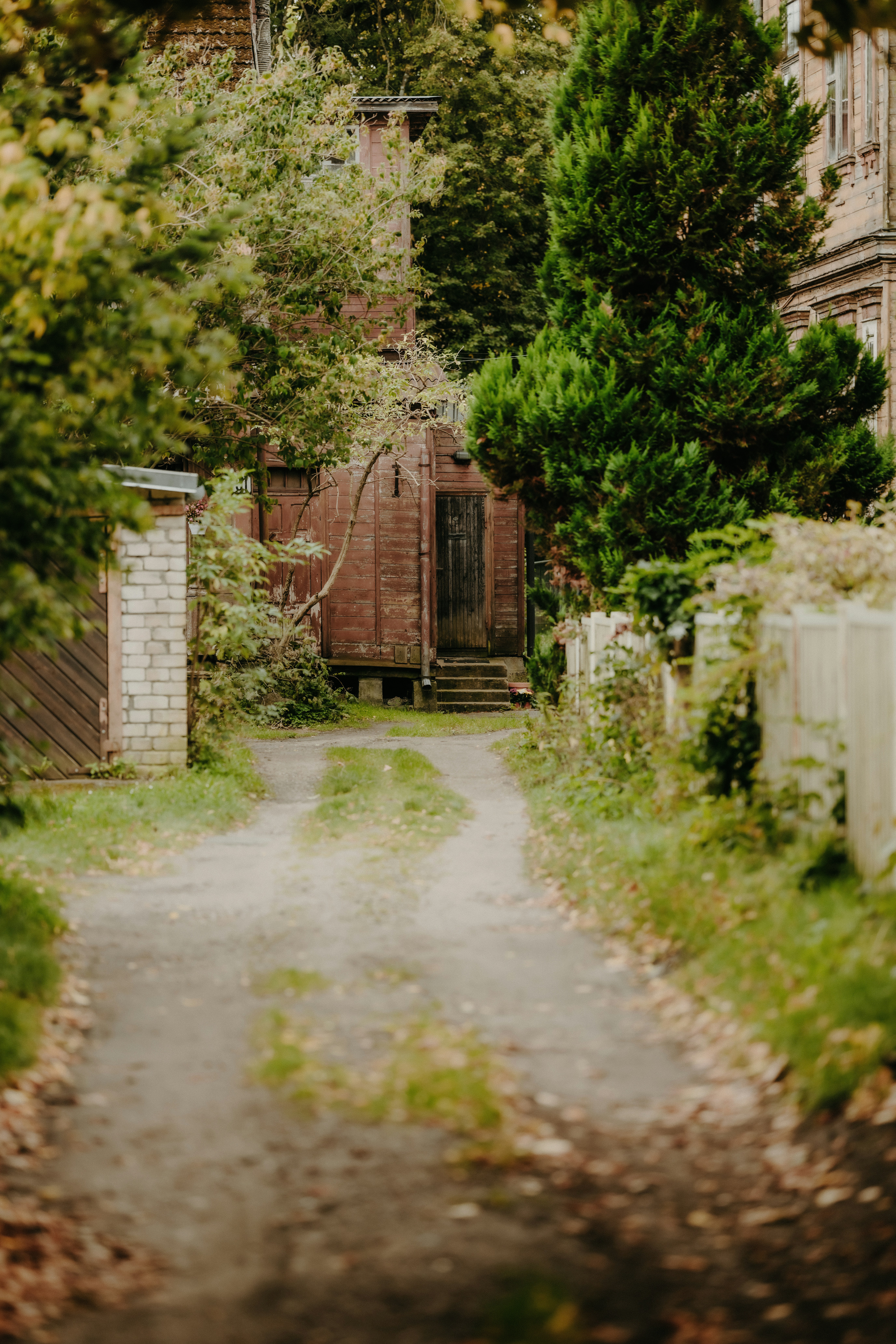 A dirt path leading to a weathered wooden house surrounded by lush green trees