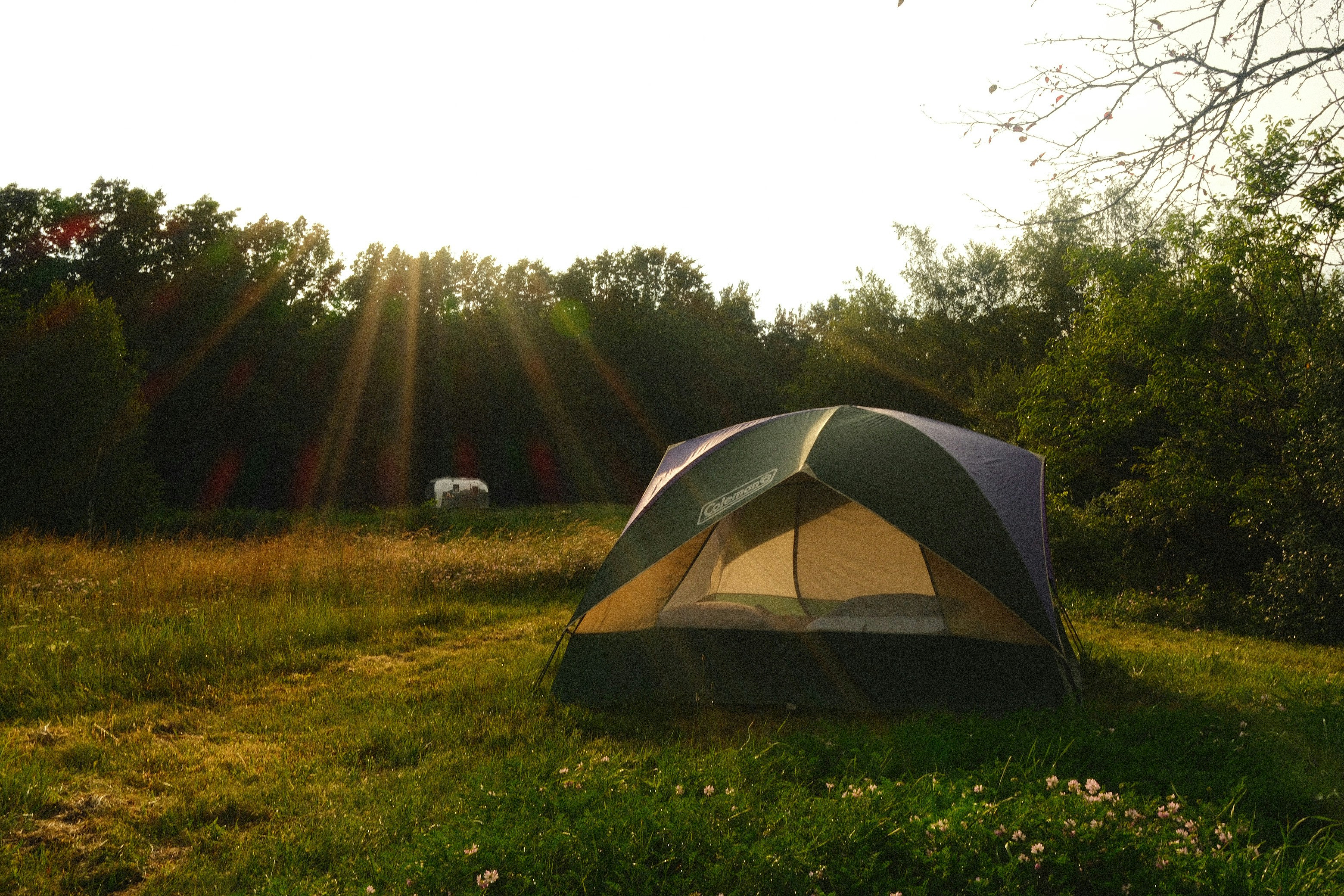 A green and grey tent in a grassy field during golden hour