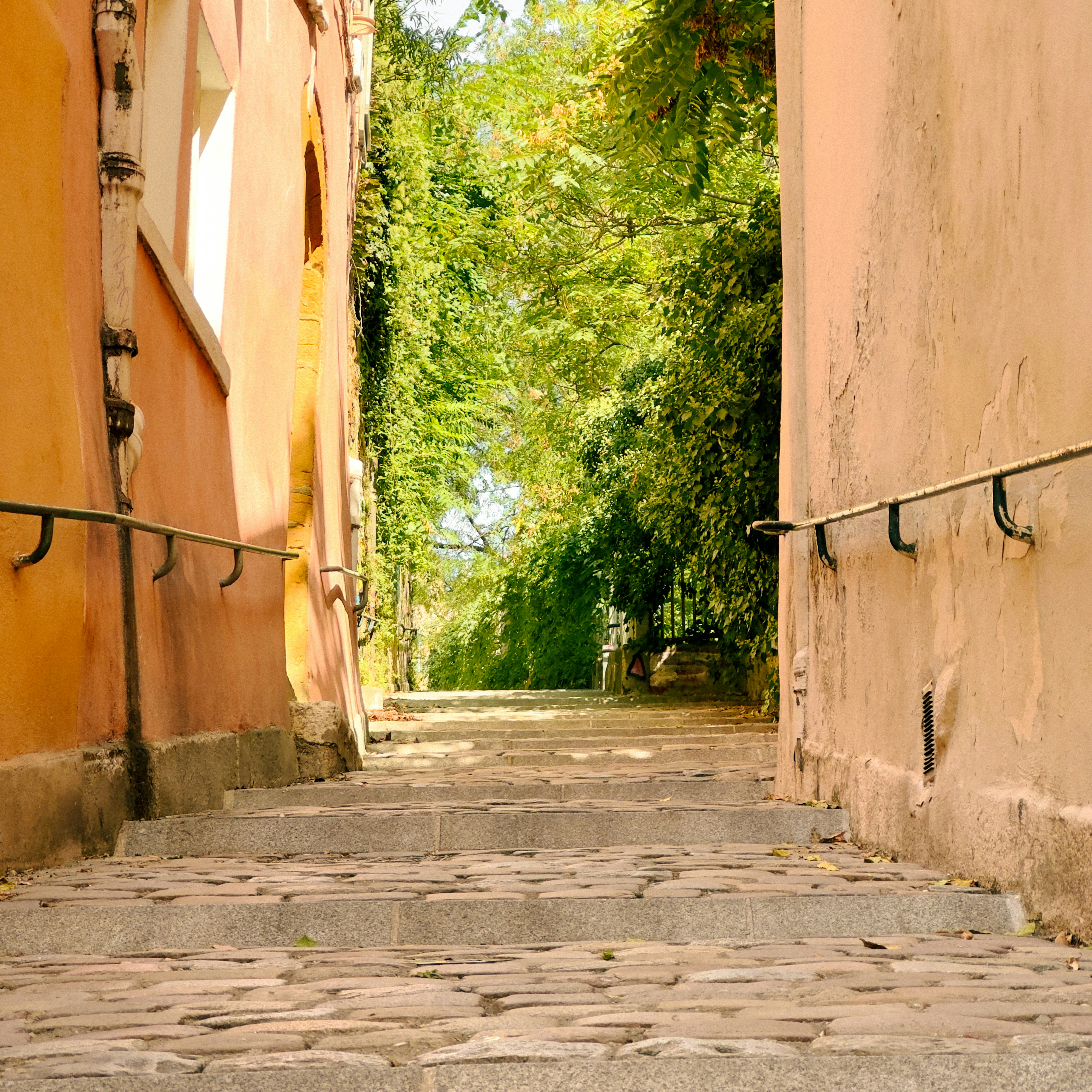 Stone steps between two stucco walls leading to a lush green tree canopy