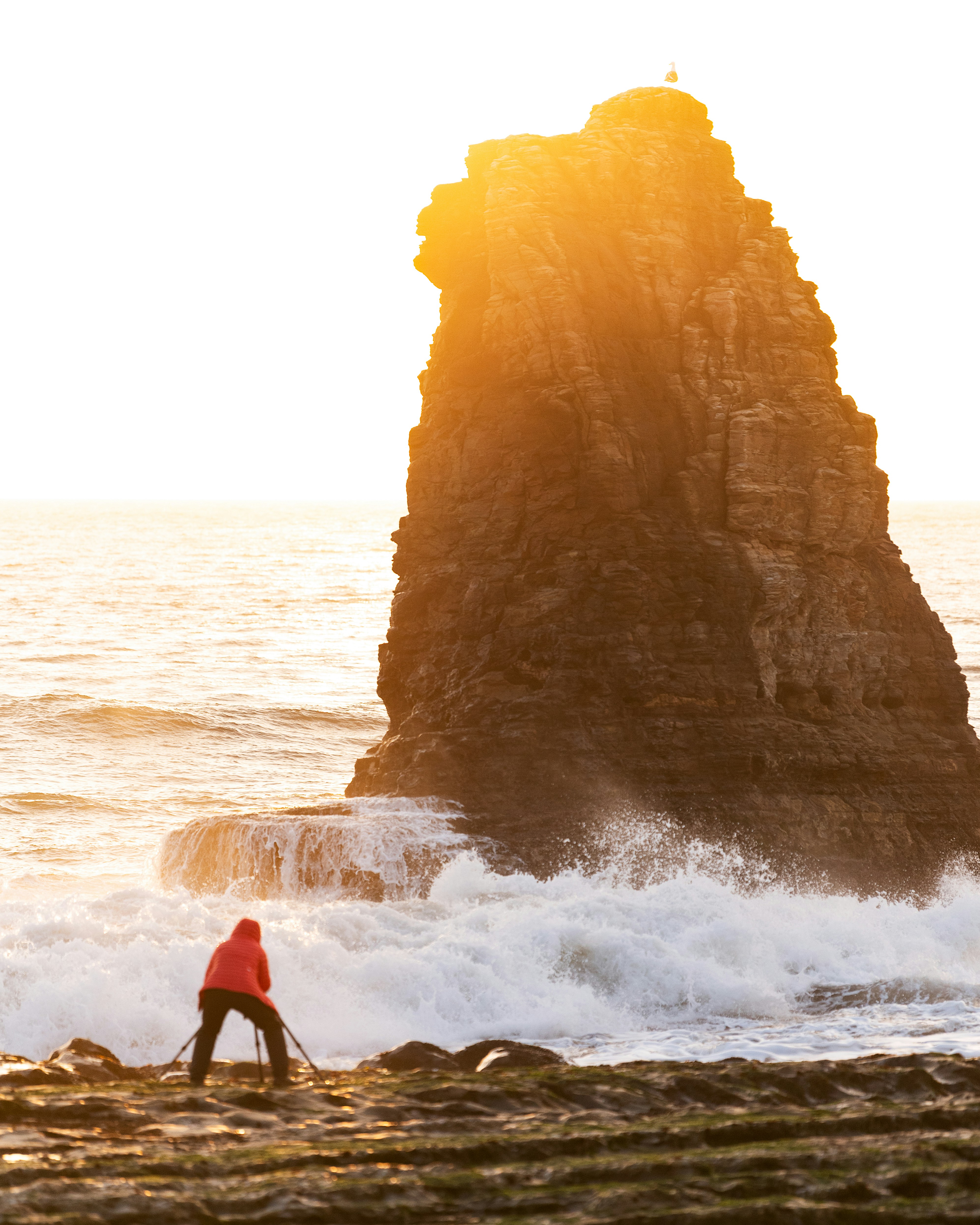 A person in a red jacket photographing a sea stack at low sun