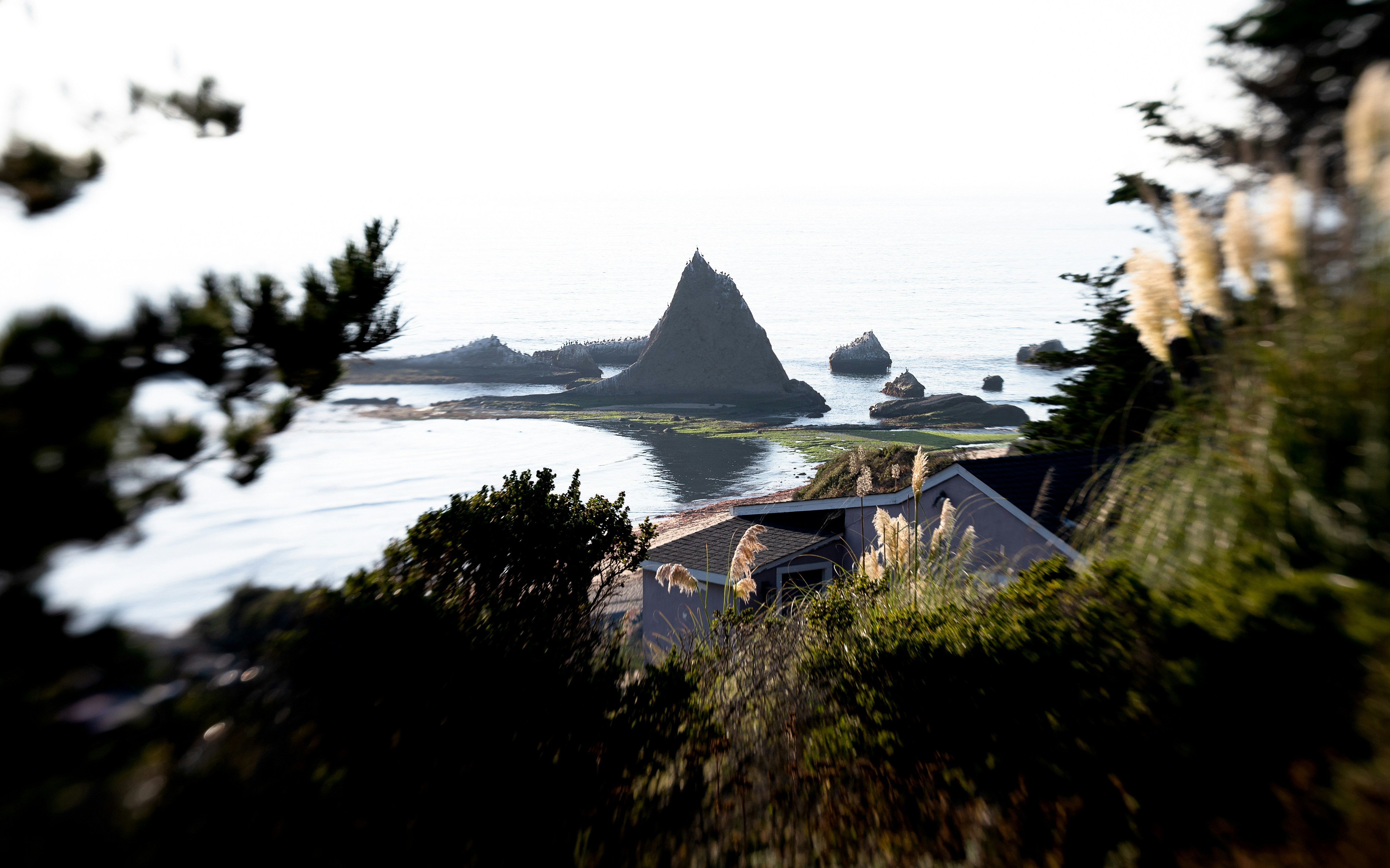 A rocky sea stack rising from the ocean near a coastal house