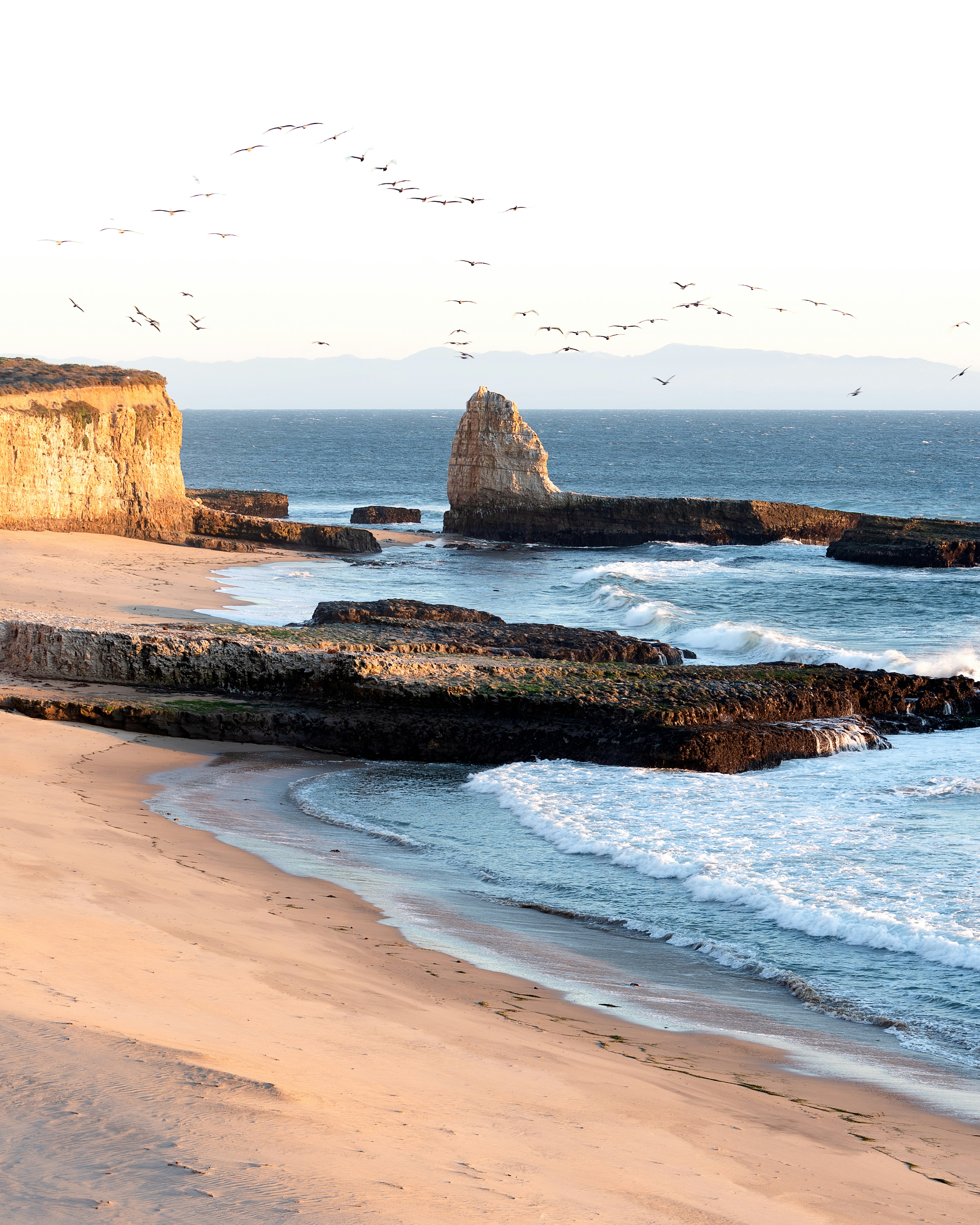 A flock of birds flying over a sandy beach with rocky cliffs