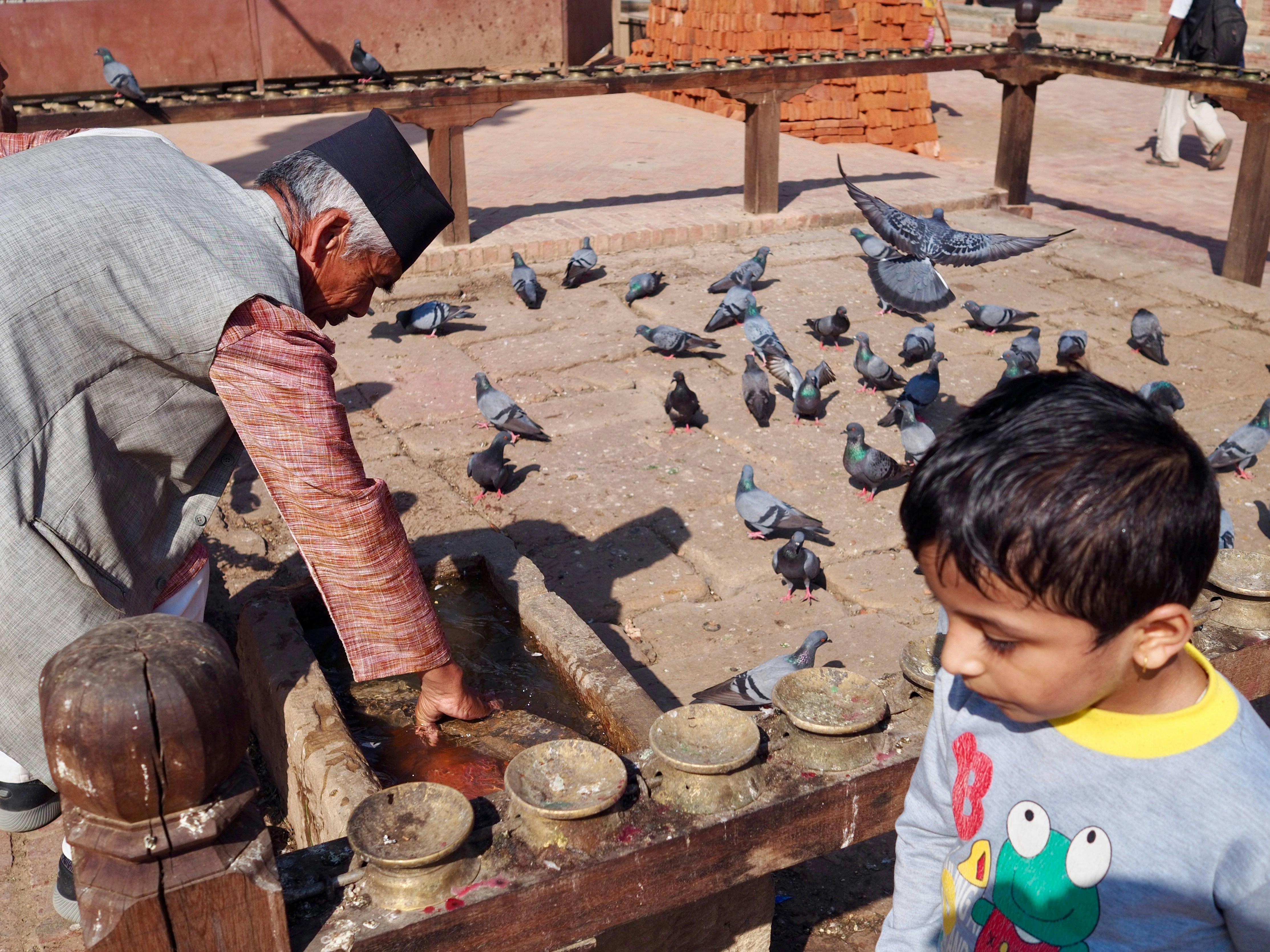An elderly man in a traditional cap and a child watching pigeons in a square