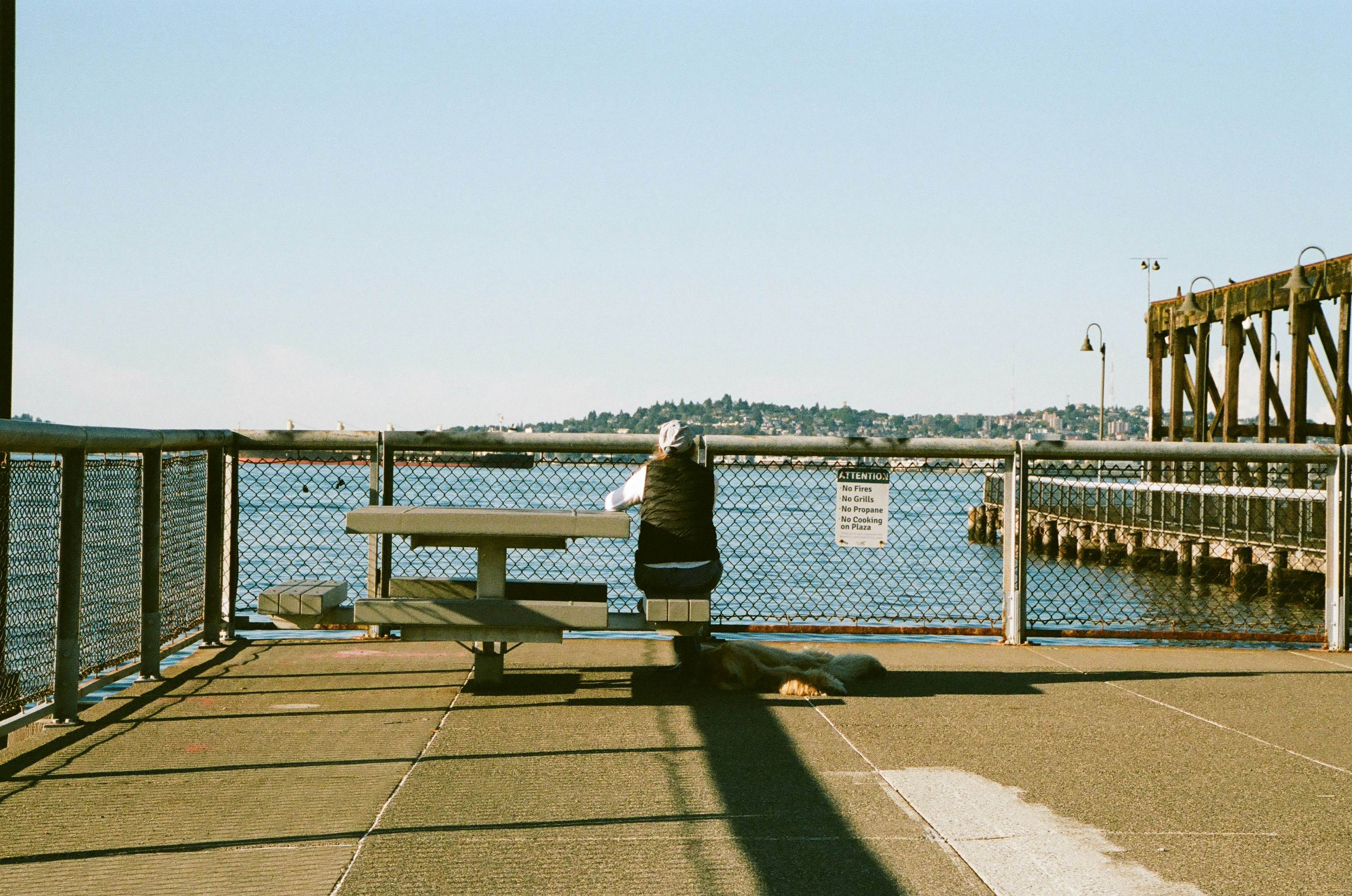 A person and a dog at a picnic table by a waterfront fence