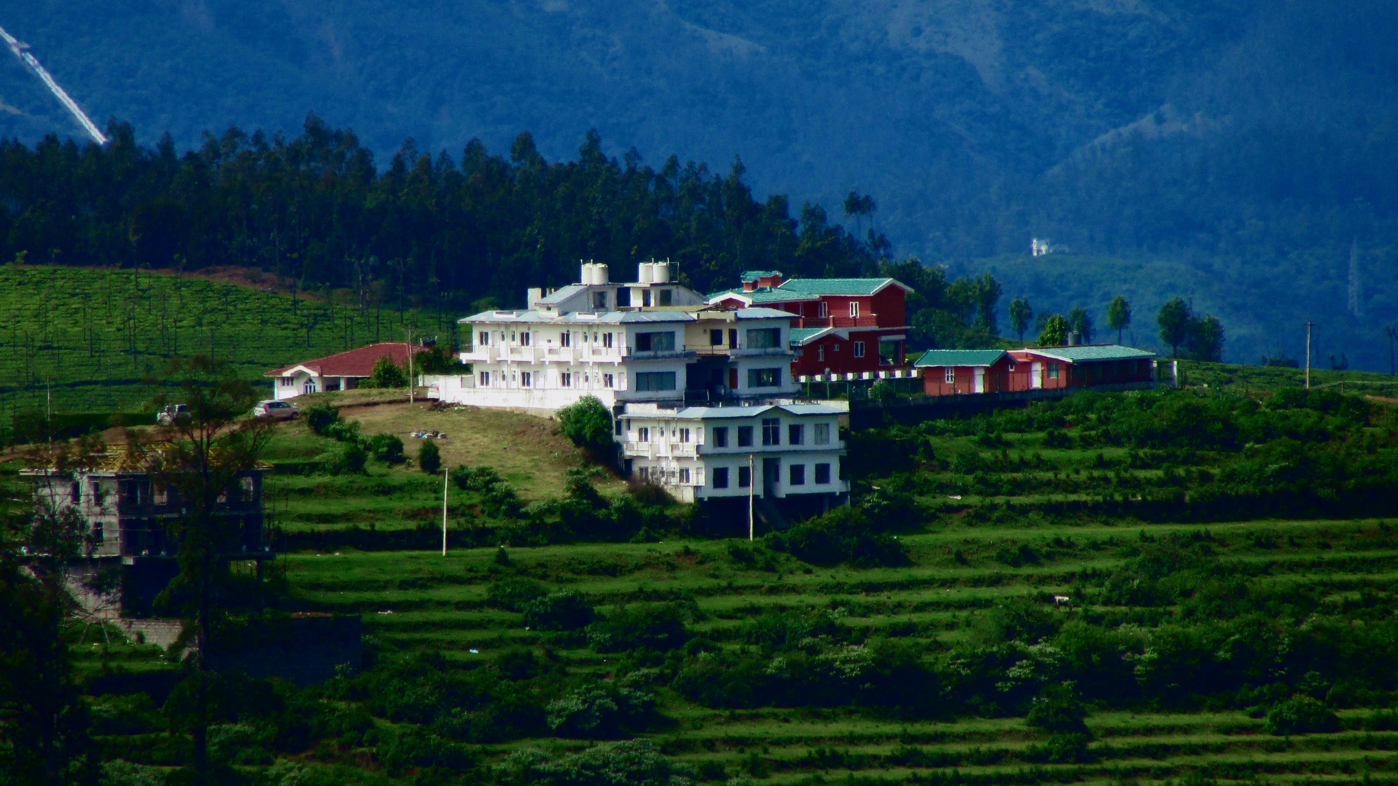 Buildings on a terraced green hillside with a forest in the background
