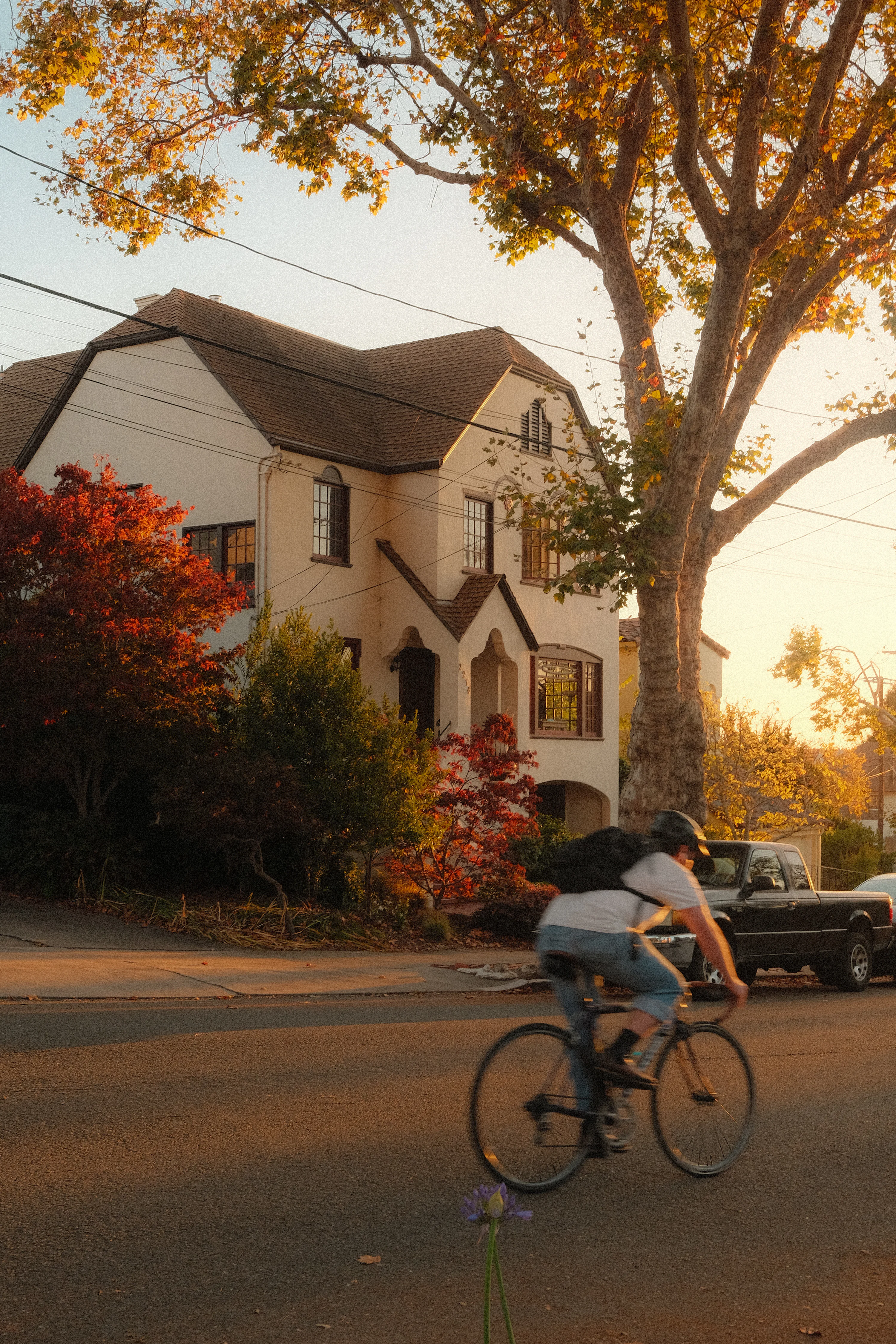 A person cycling past a house with red trees in golden hour light