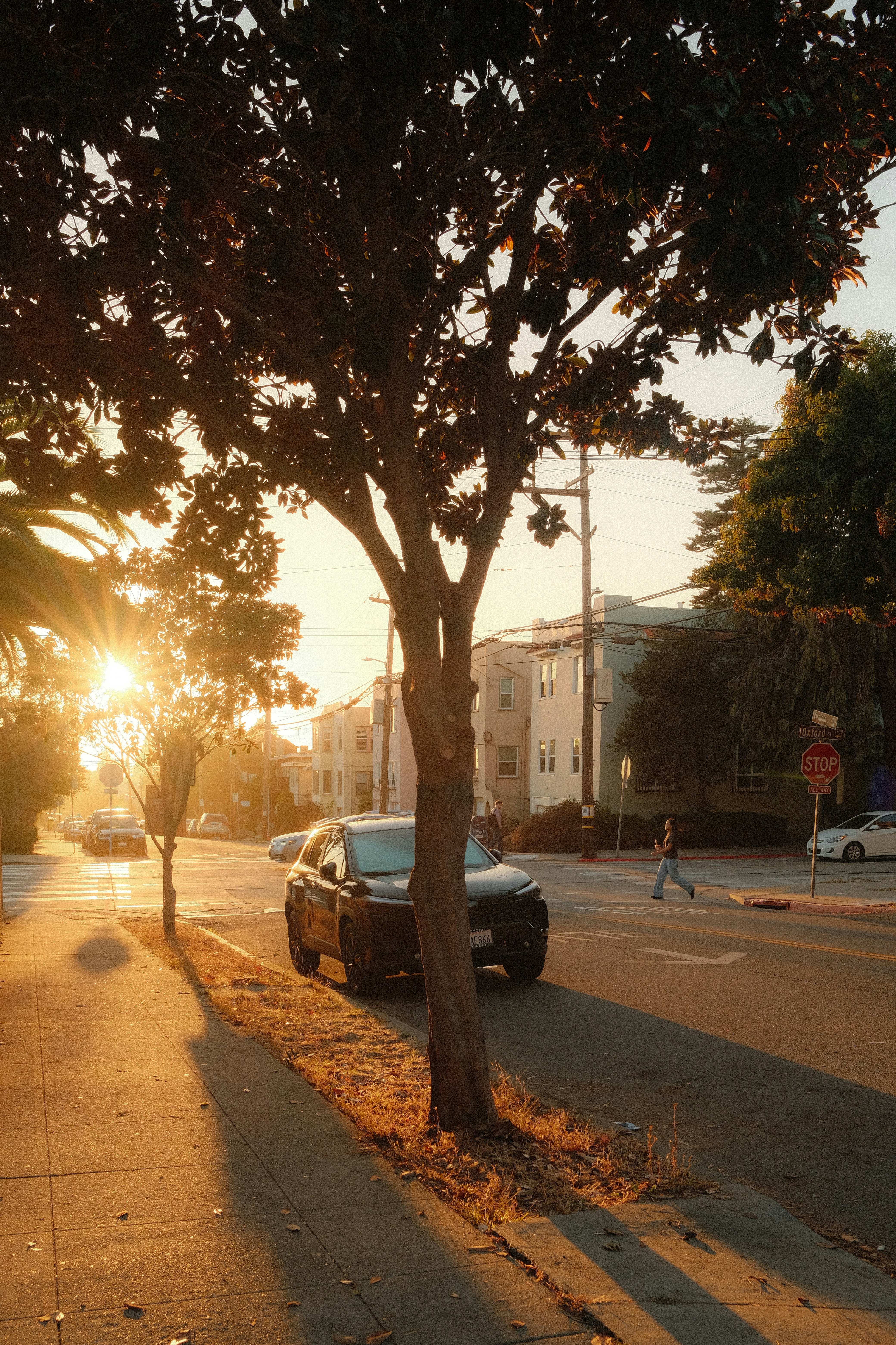 A person walking across a street intersection during golden hour with long shadows