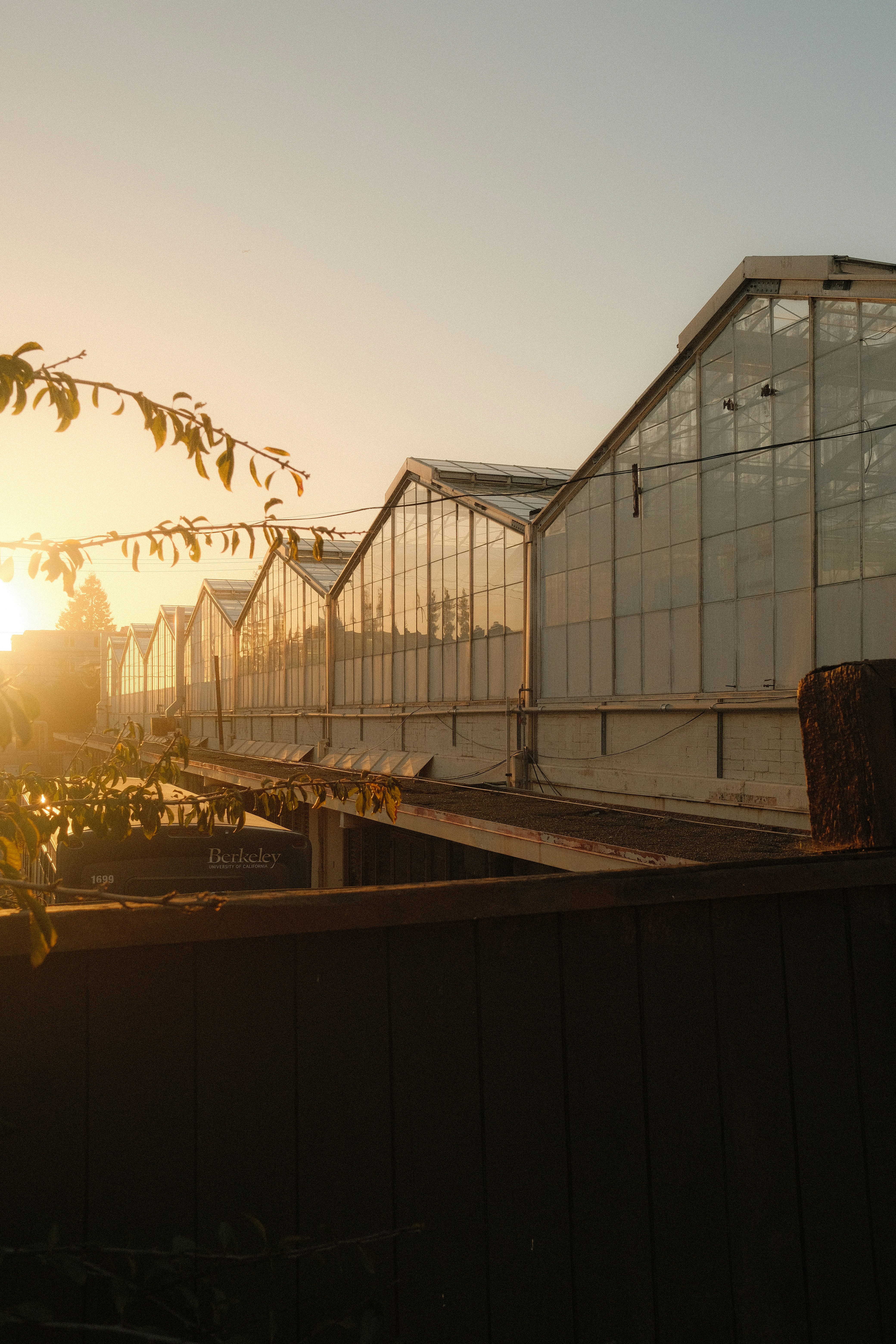 A row of glass greenhouses in Berkeley during the golden hour