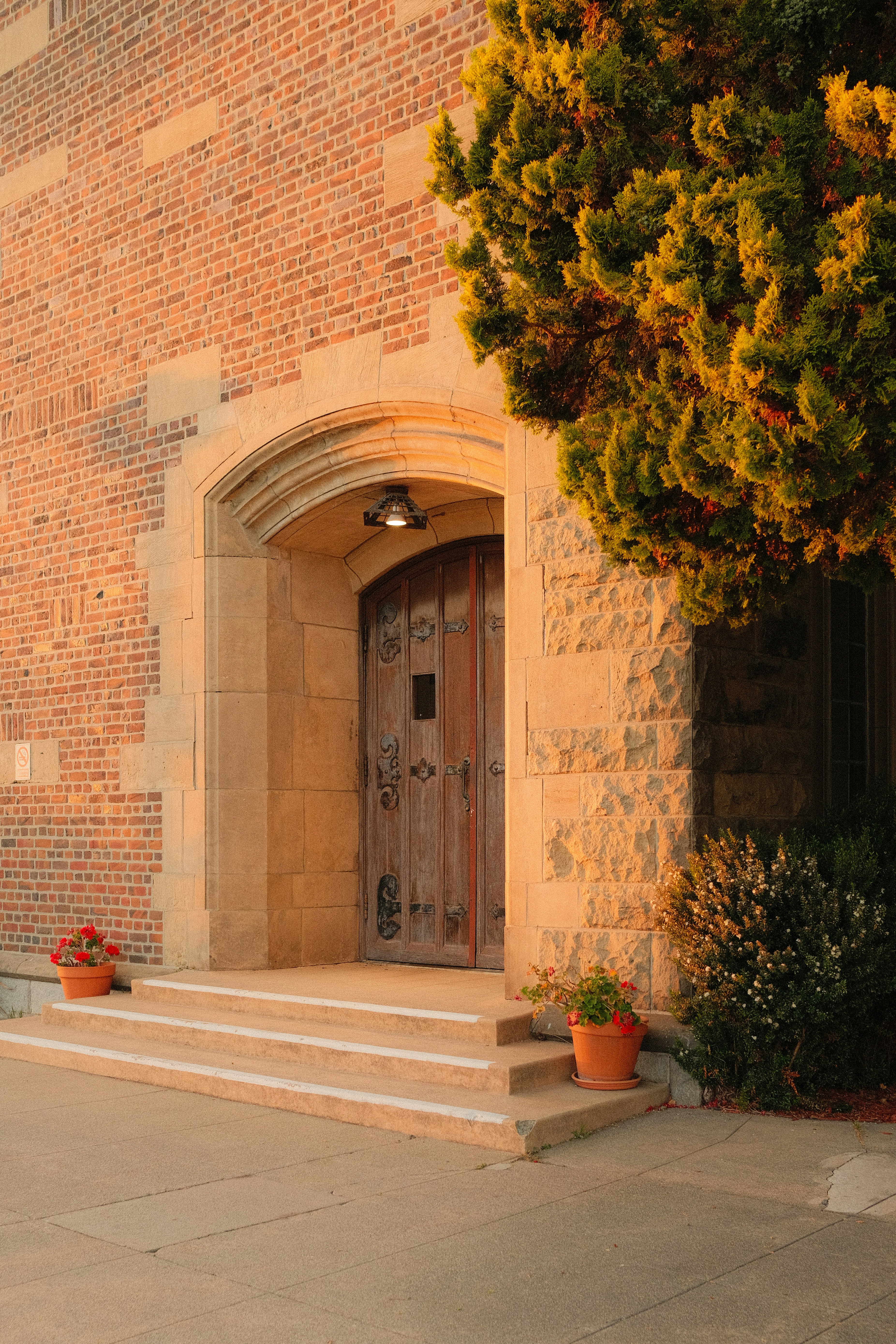 A wooden arched door in a brick building with stone steps and potted flowers