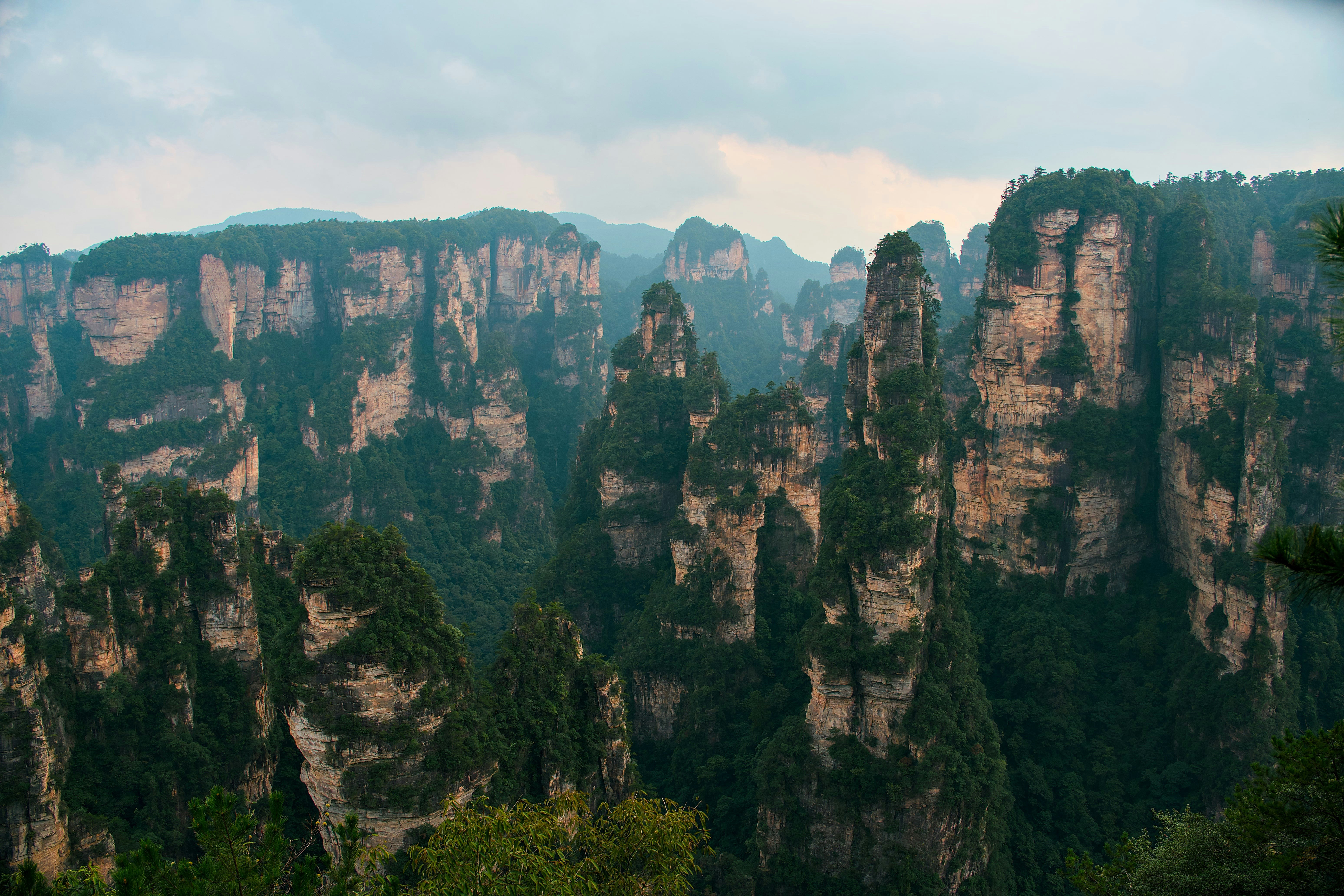 Tall sandstone pillars covered in green vegetation in Zhangjiajie National Forest Park