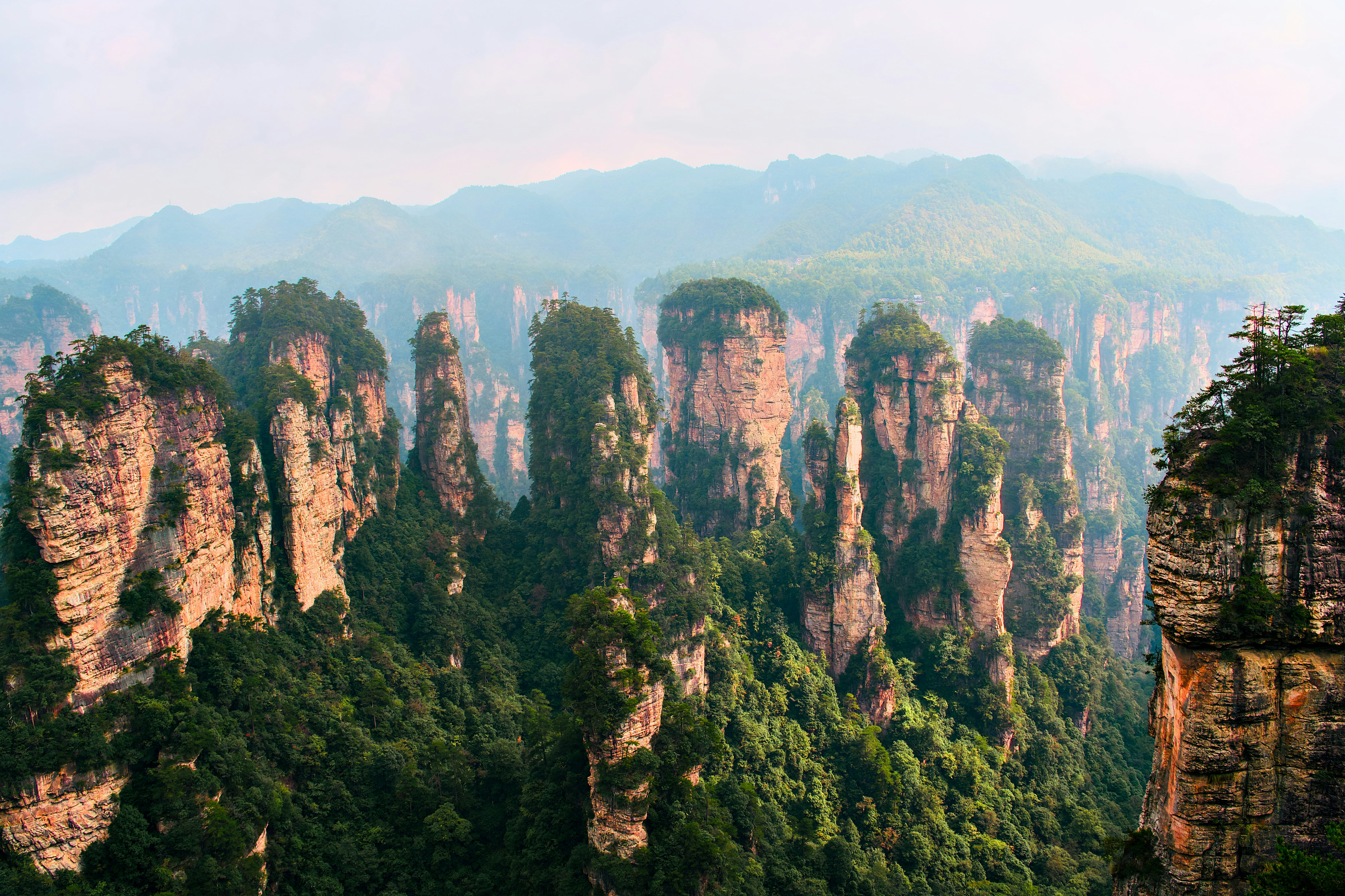 Tall sandstone pillars covered in green trees rising above a misty valley