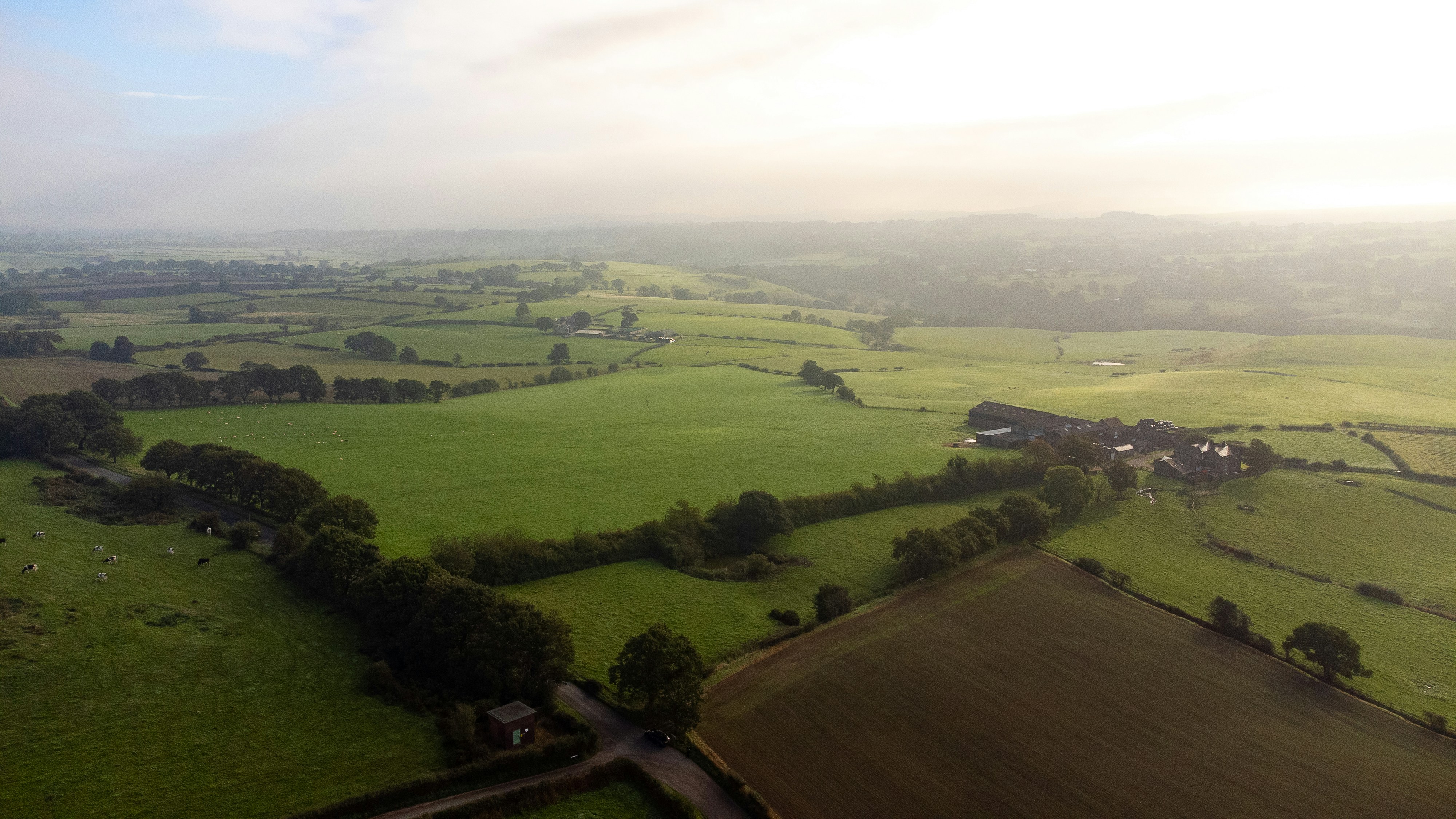 Aerial view of green rolling farmland with hedgerows and a farmstead in morning light