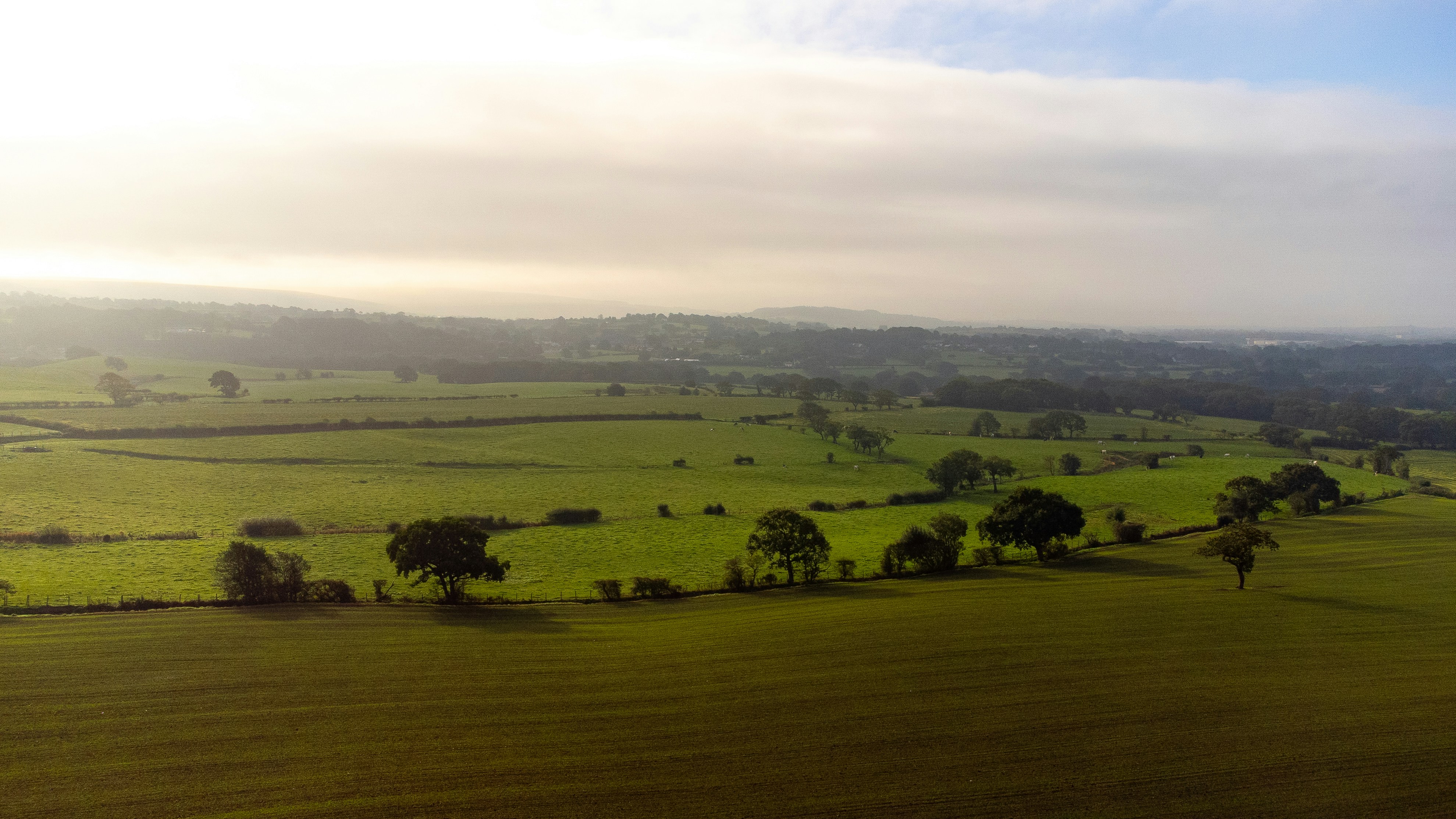 Aerial view of green rolling fields and scattered trees under a hazy sky